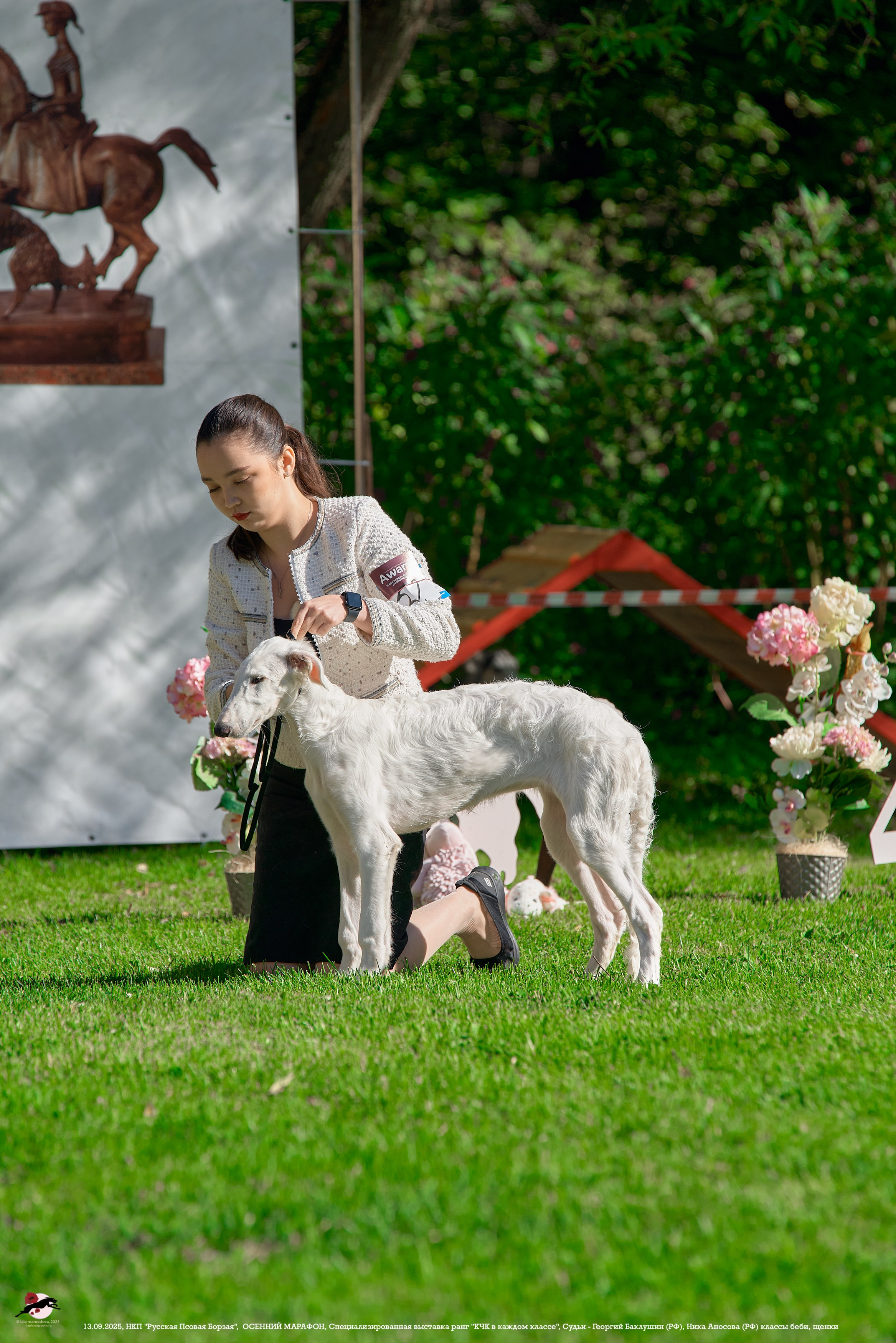 ОСЕННИЙ МАРАФОН | Специализированная выставка породы Русская Псовая Борзая ранг "КЧК в каждом классе"