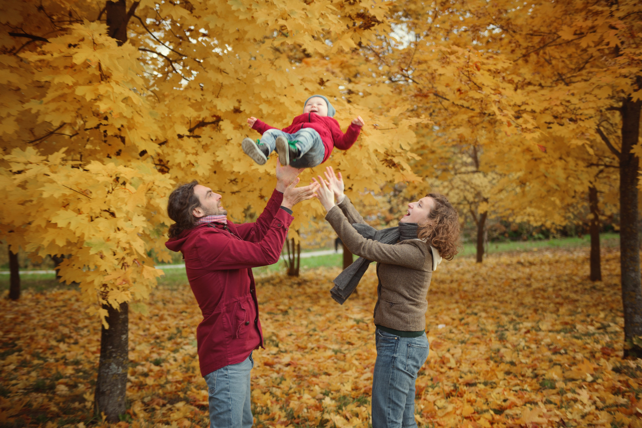 Family photo shoot in autumn. Photos with yellow leaves