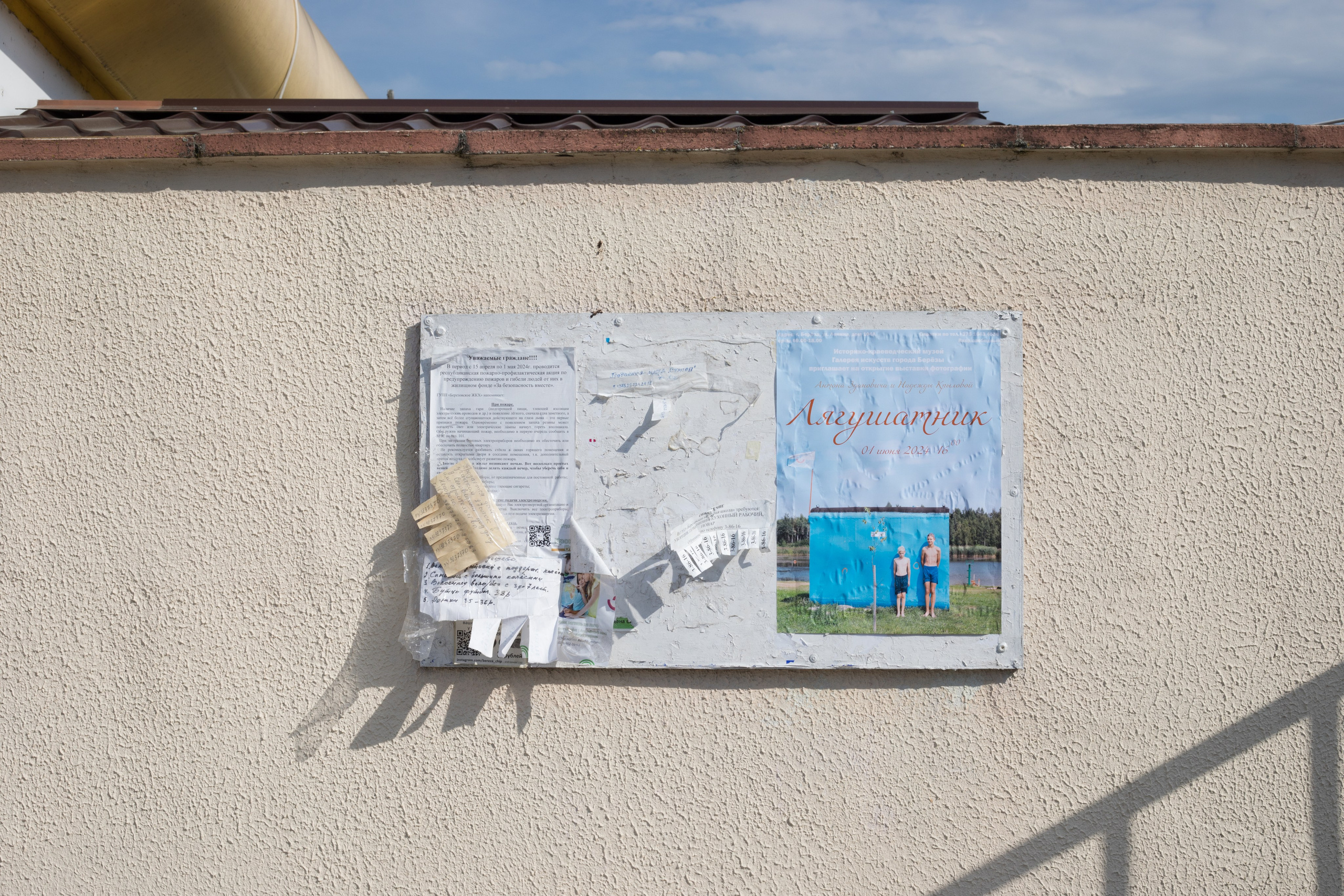 The frog house (2024). Documentary photographer Anton Zdanovich