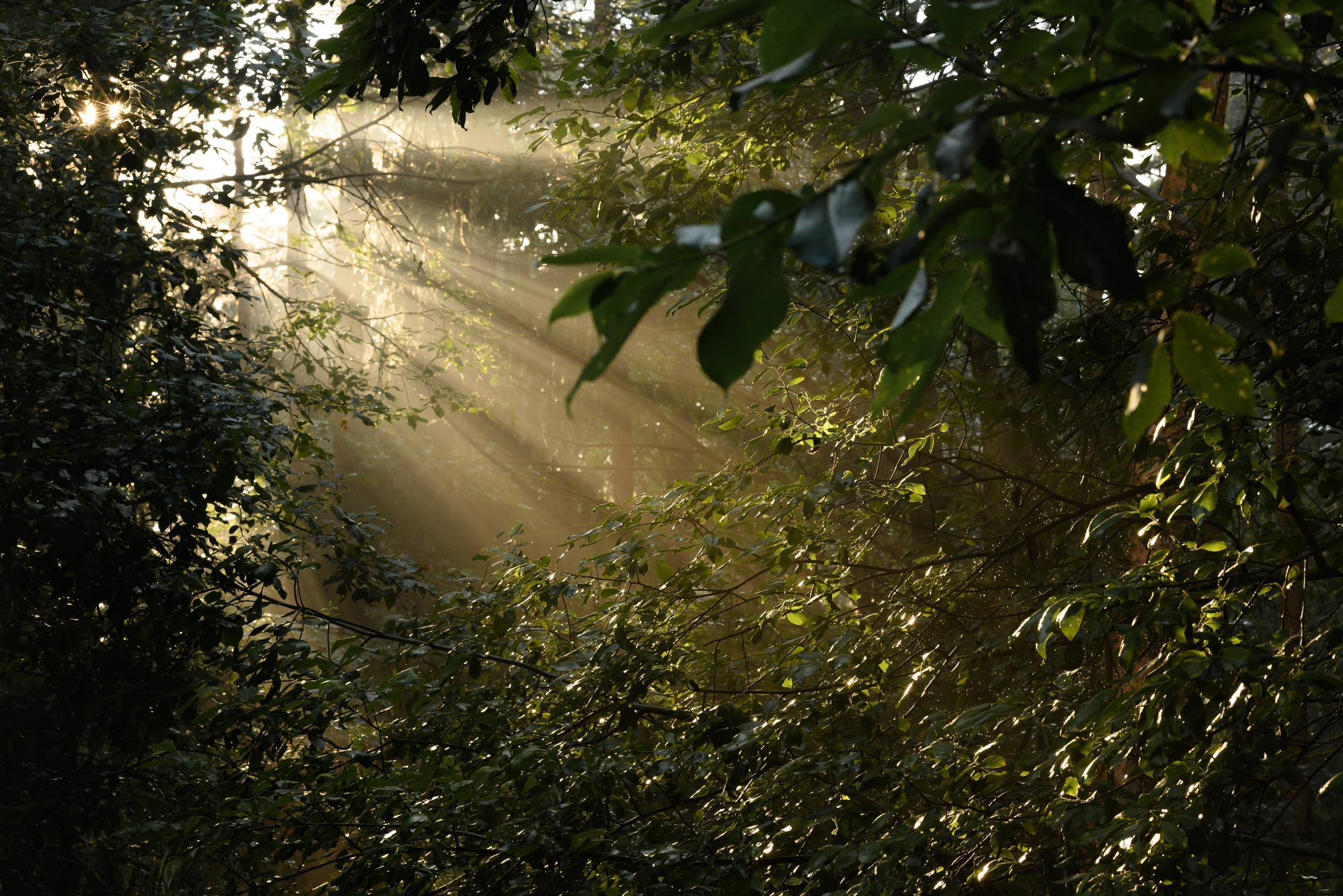 Фотограф в Минске Дарья Кончакова