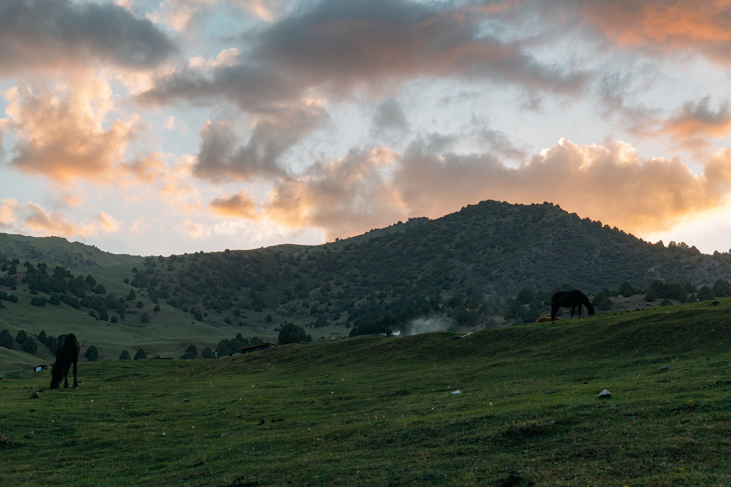Средняя Азия подборка. Роман Свободный — интерьерная и архитектурная съёмка, Москва и МО