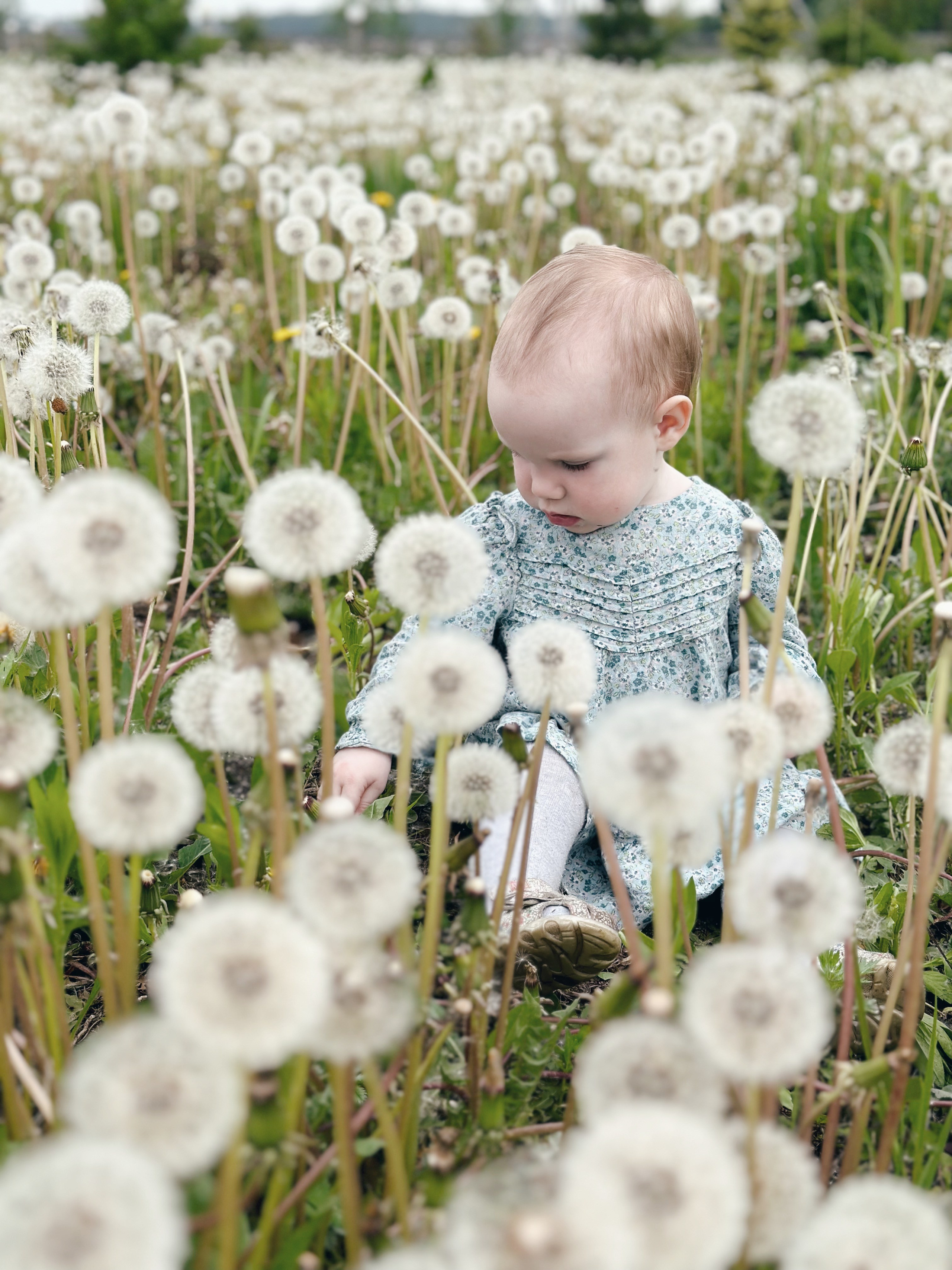 Главная. Семейный фотограф и видеограф. Москва
