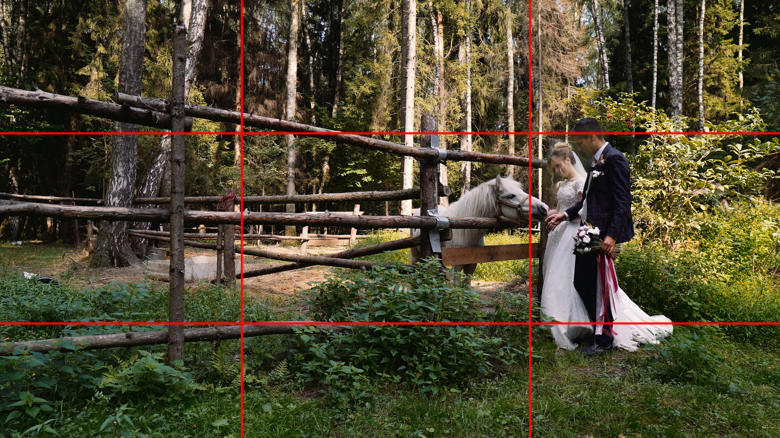 wedding videographer in batumi