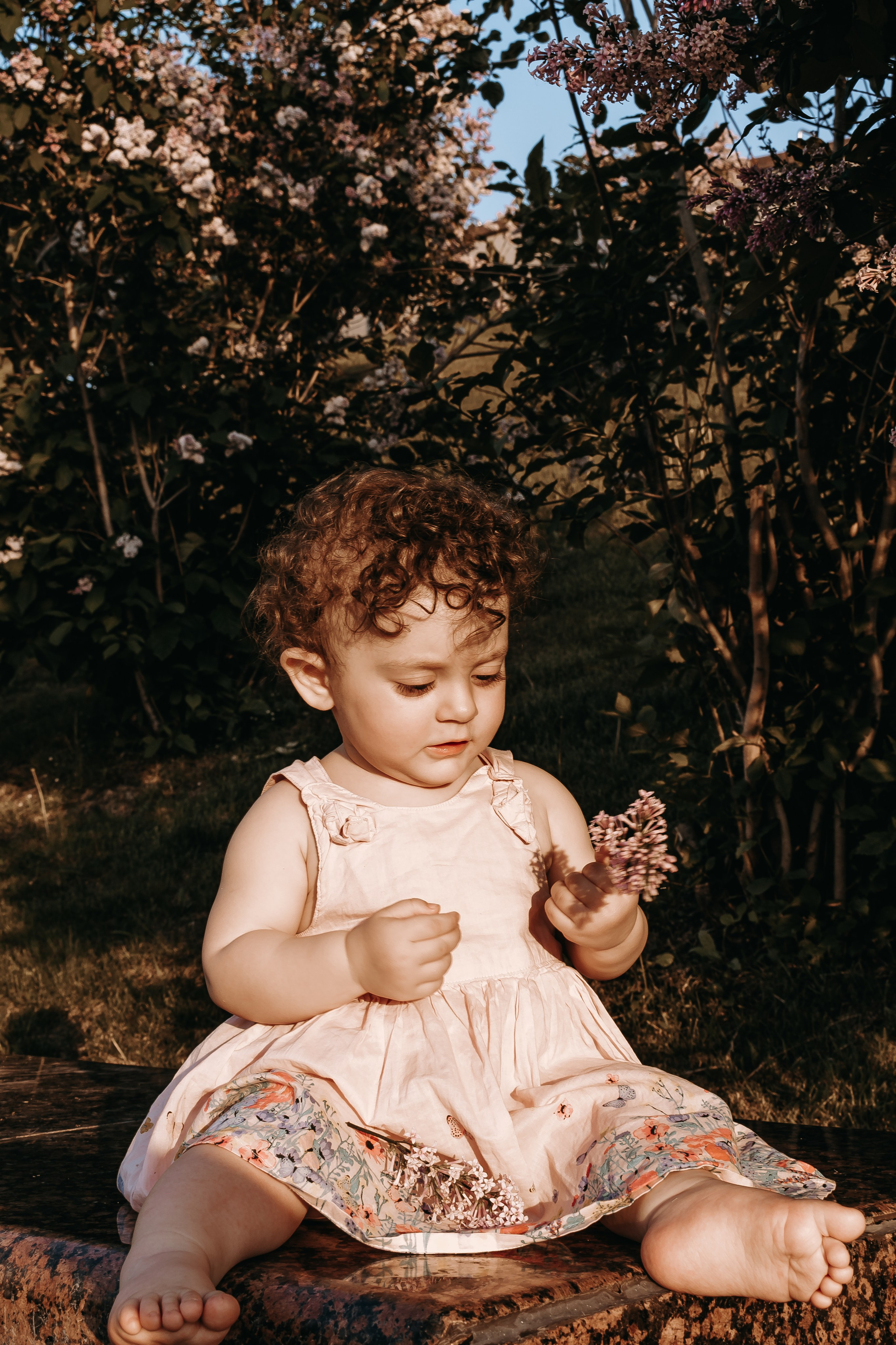 Семейная летняя фотопрогулка (Шушаник). Портретный фотограф Кристина Саргсян