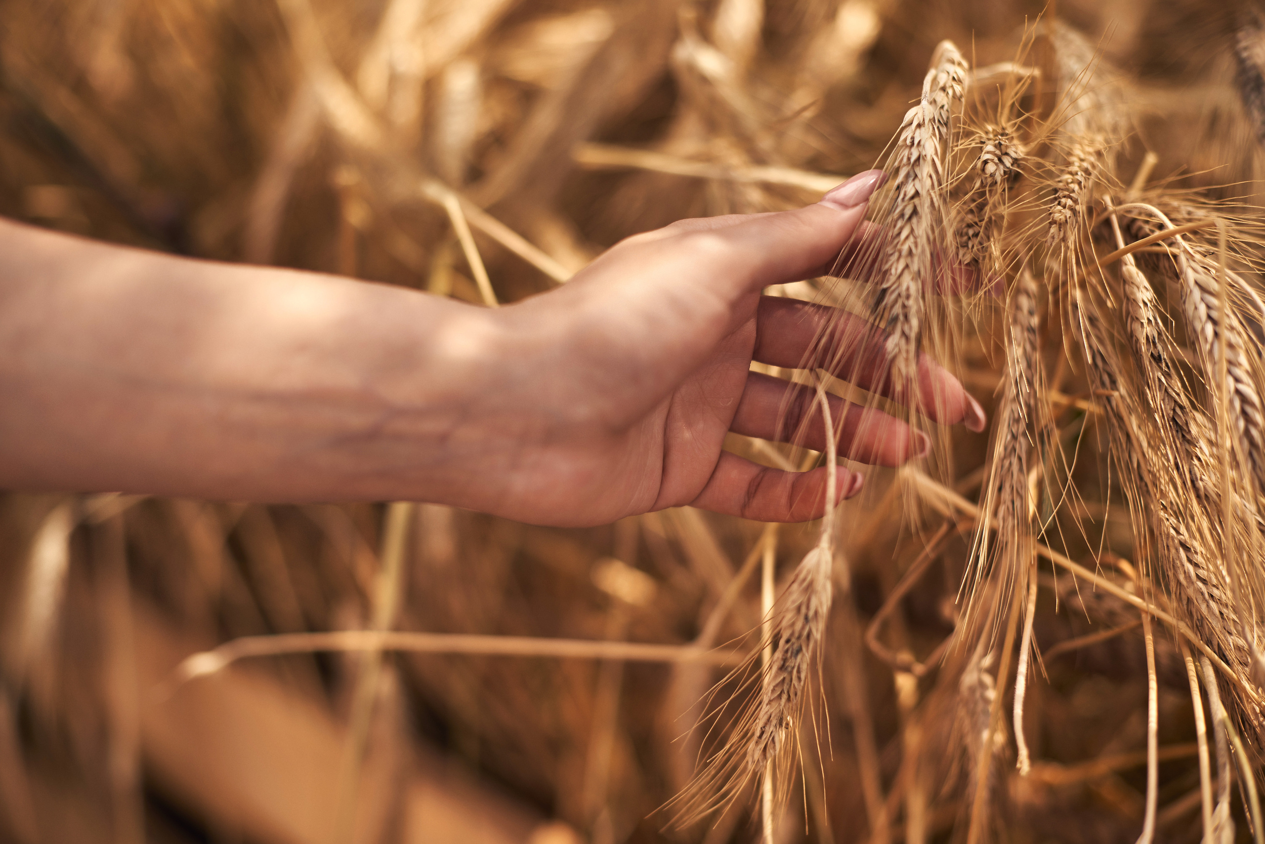 Цветочный джем с Анастасией. Фотограф в Москве Михаил Елизарьев