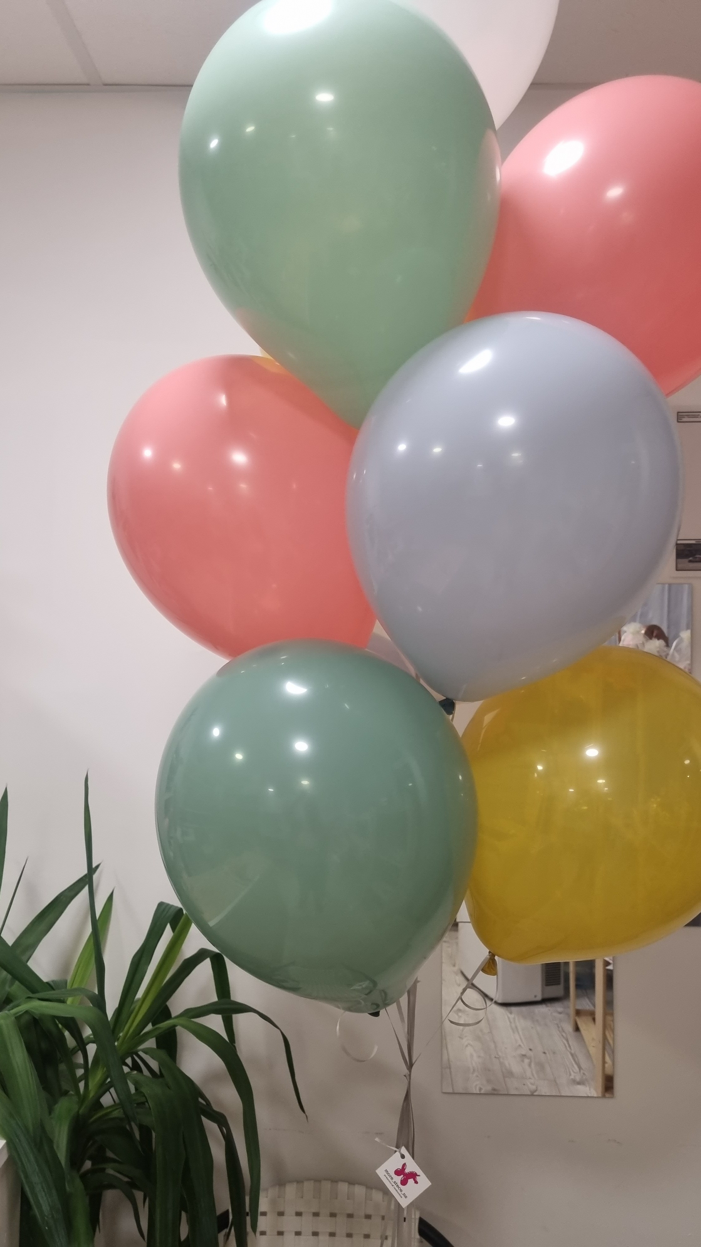 Balino prvi rodendan dostava balona Novi Sad dostava balonaBeograd. Шары с гелием, фотозоны Нови Сад Белград. Balone i dekoracije od balona Novi Sad Beograd