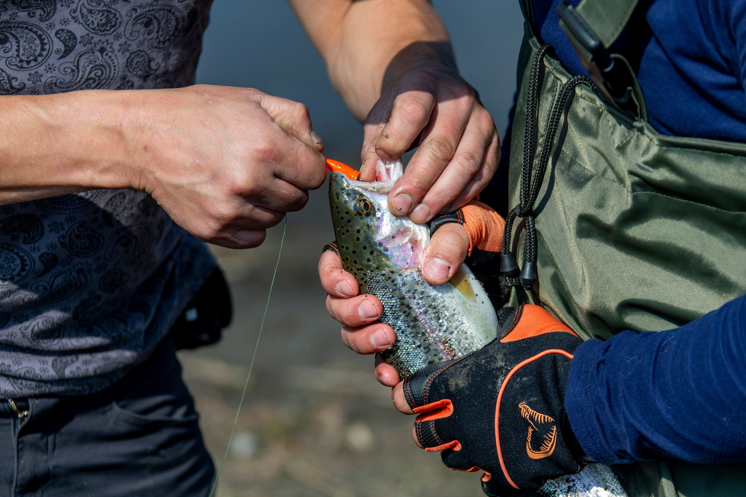 Сплав на рафтах. Время Камчатки: чтобы найти свой путь, нужно скорость умножить на время