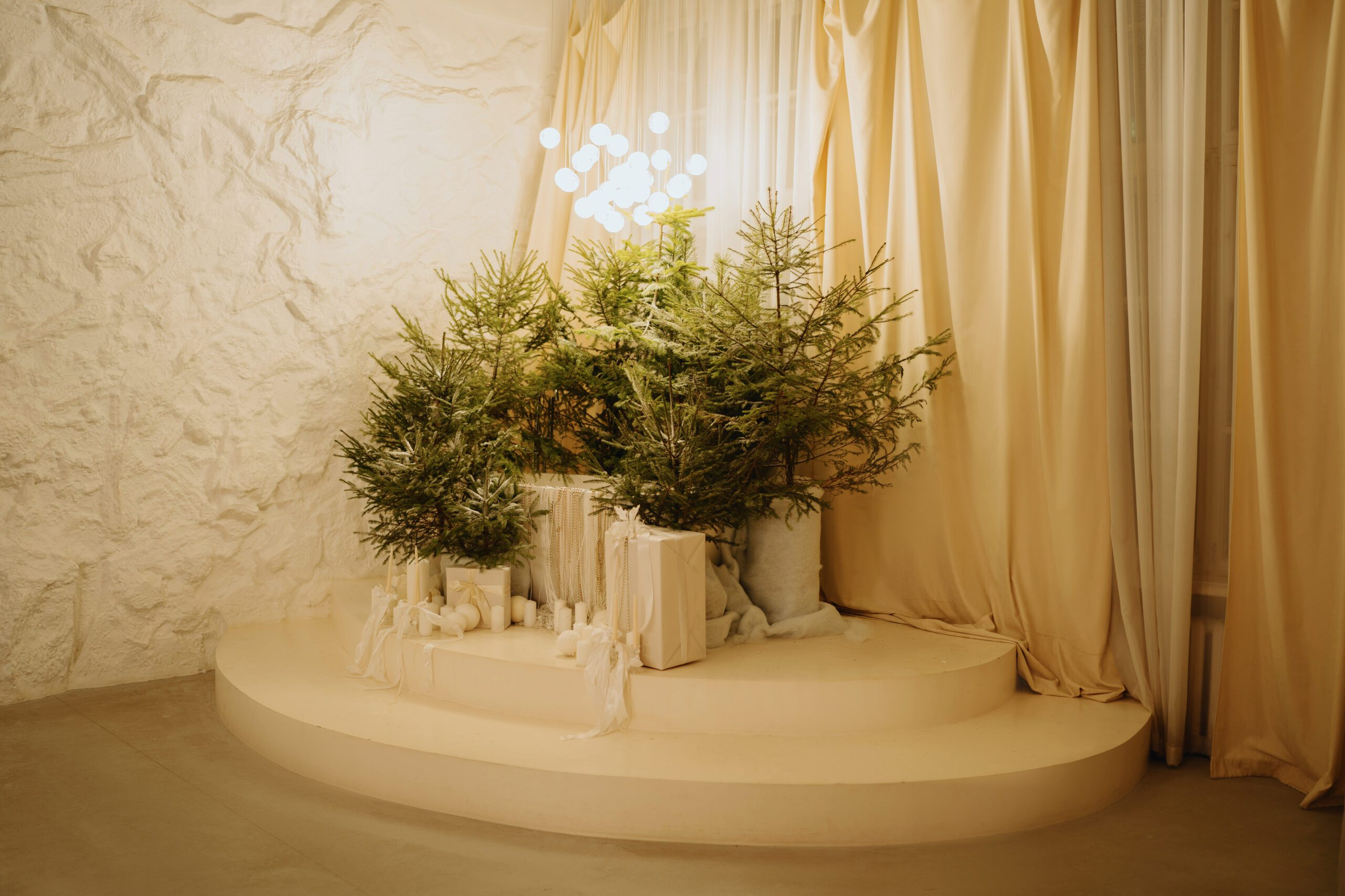 Photohub новогодние залы. Фотограф в Минске Людмила Дутко