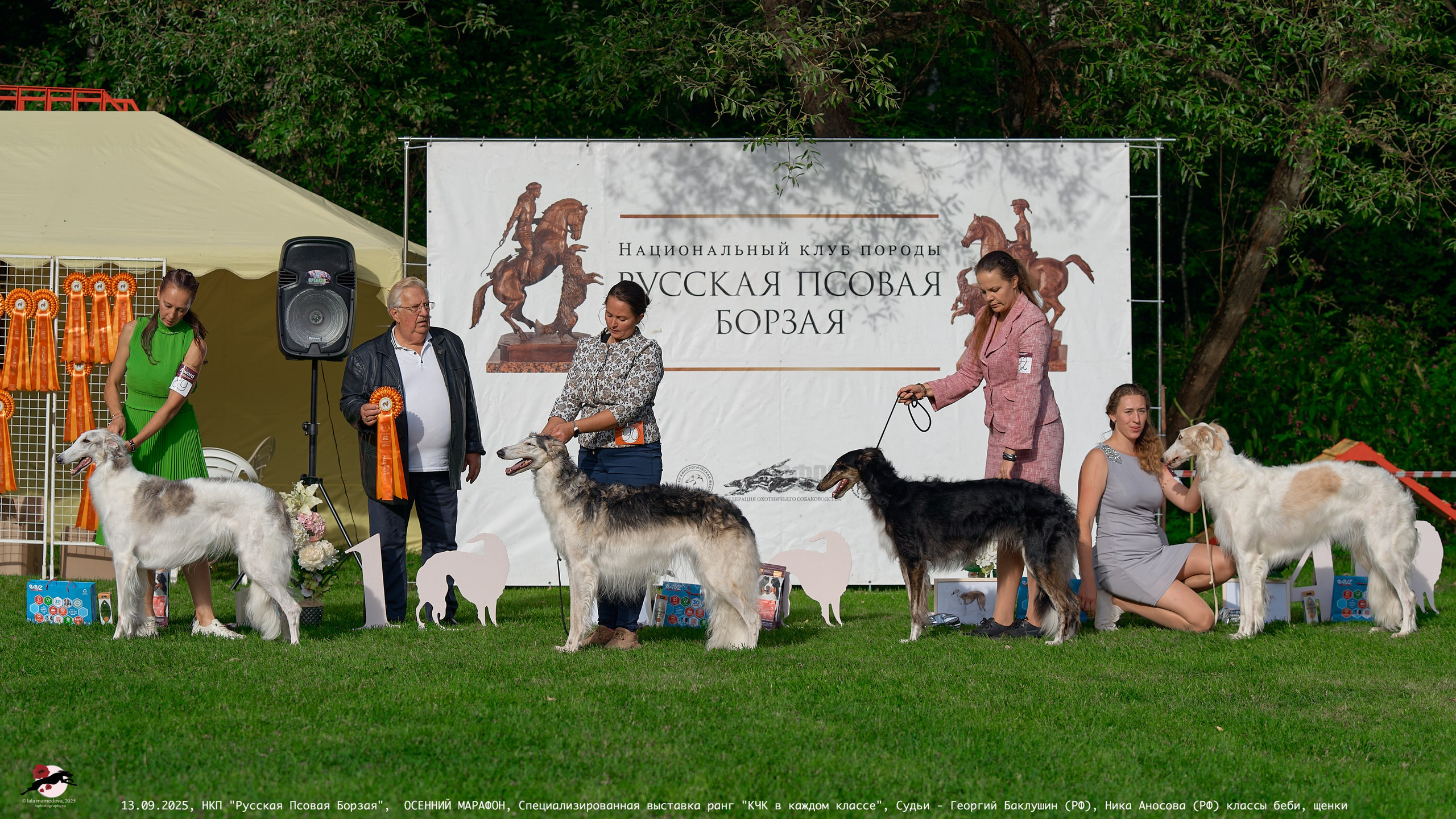 ОСЕННИЙ МАРАФОН | Специализированная выставка породы Русская Псовая Борзая ранг "КЧК в каждом классе"