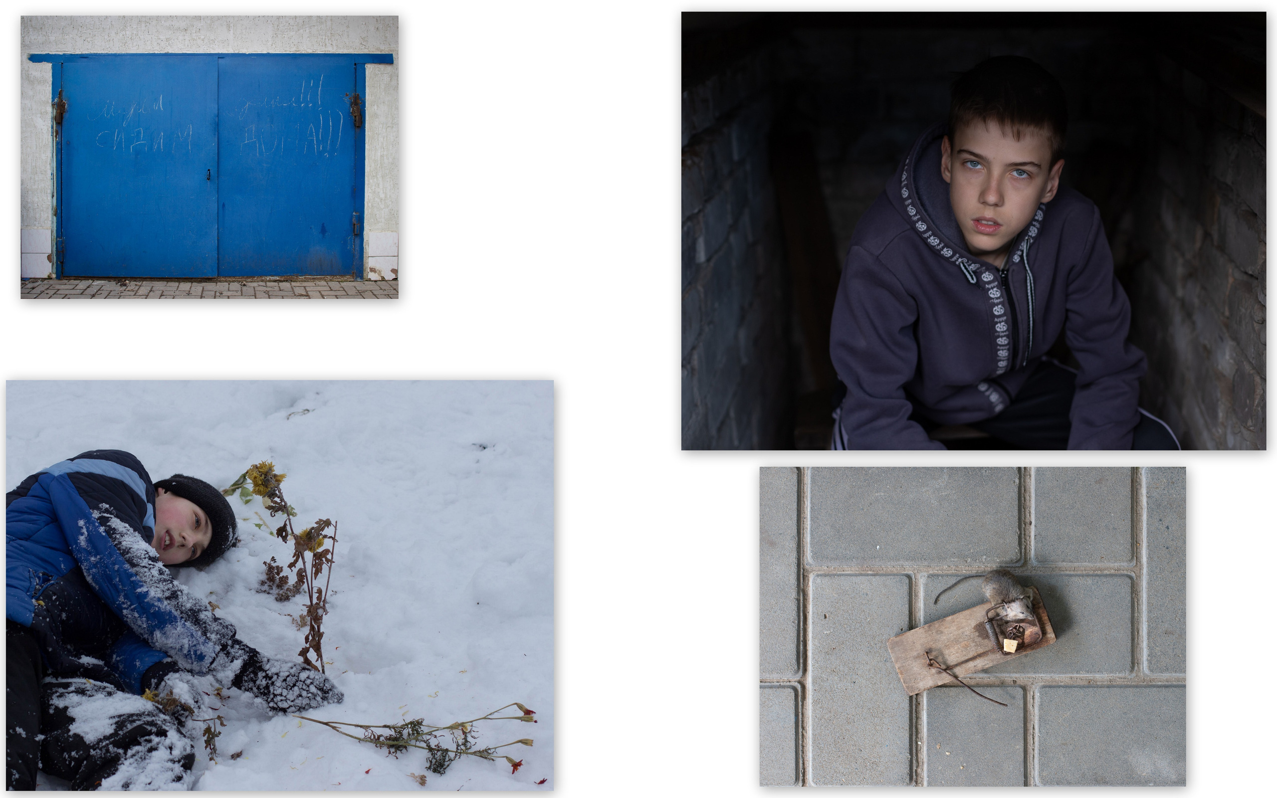 Персональная выставка Елены Терентьевой ''Чувство дома''