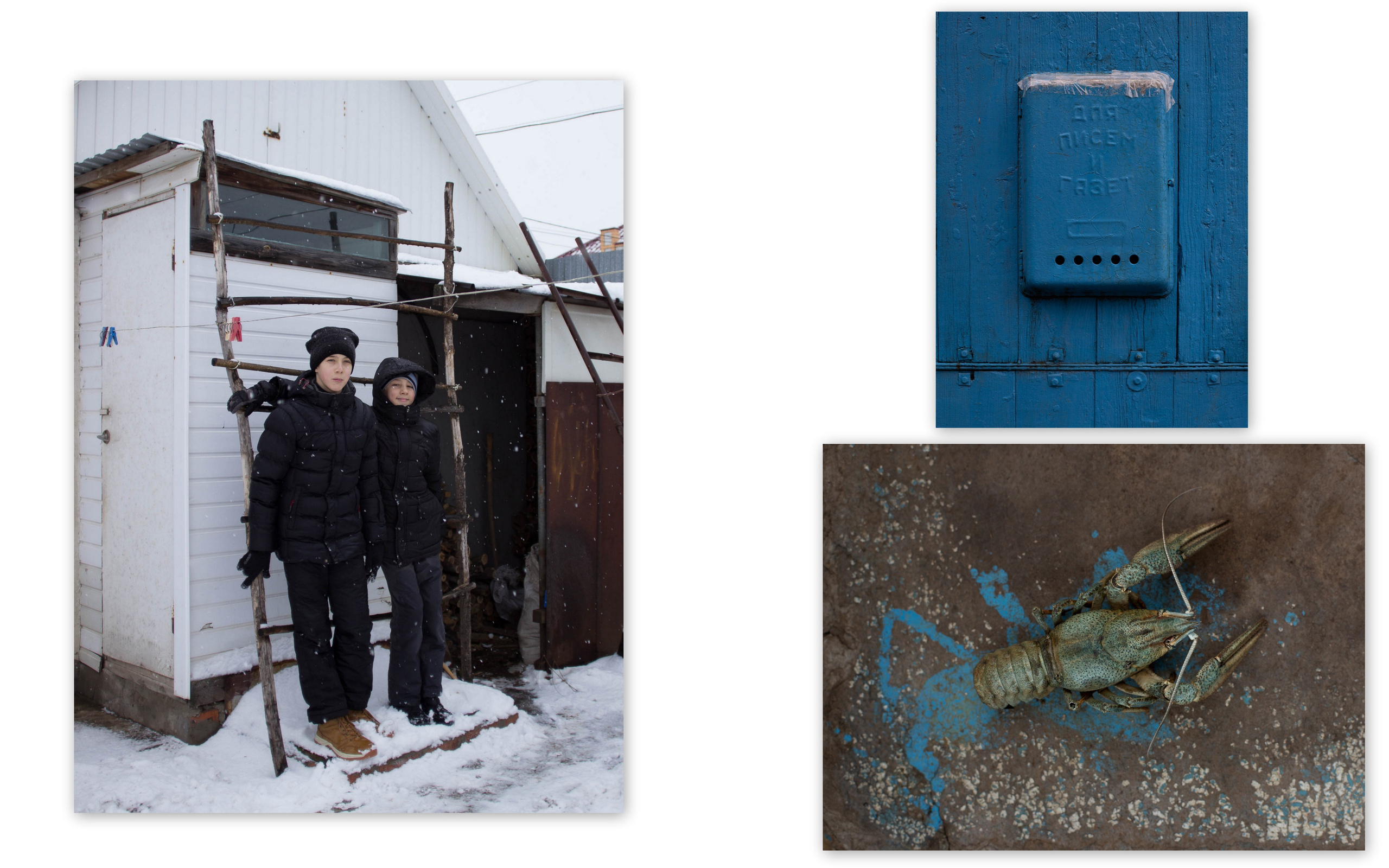 Персональная выставка Елены Терентьевой ''Чувство дома''