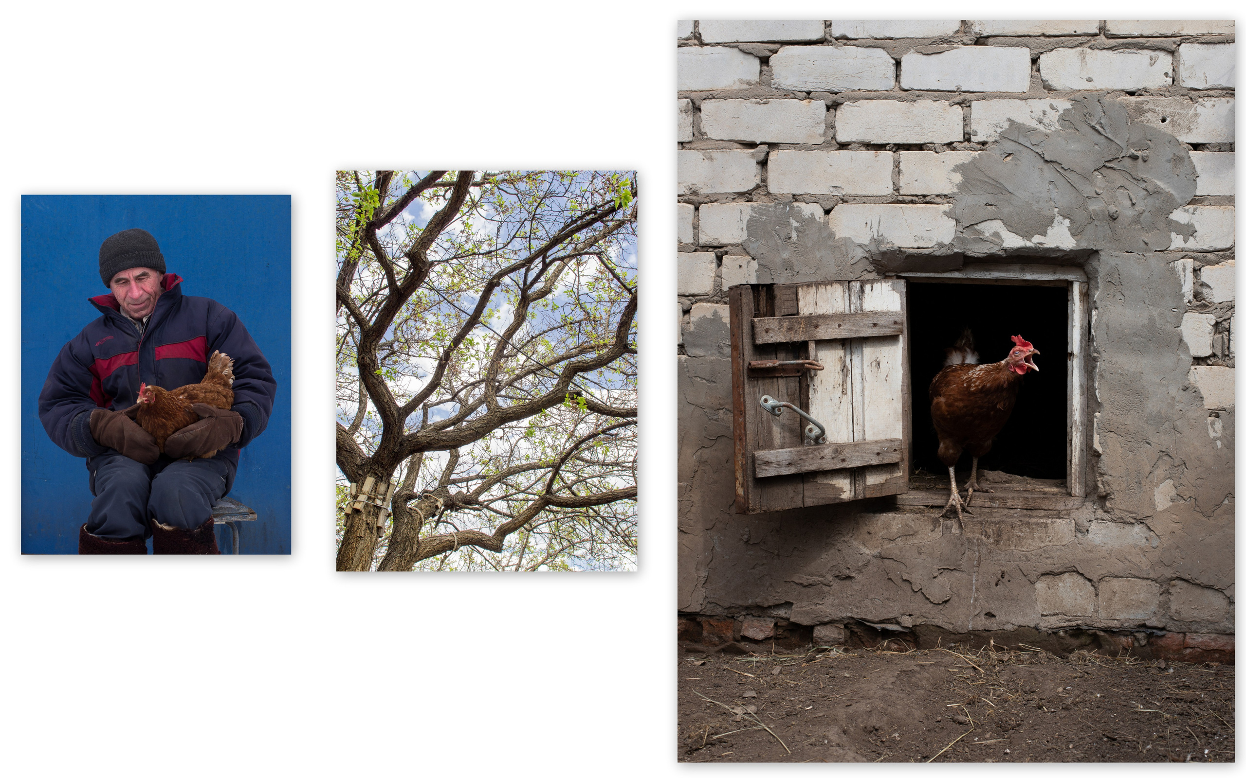 Персональная выставка Елены Терентьевой ''Чувство дома''