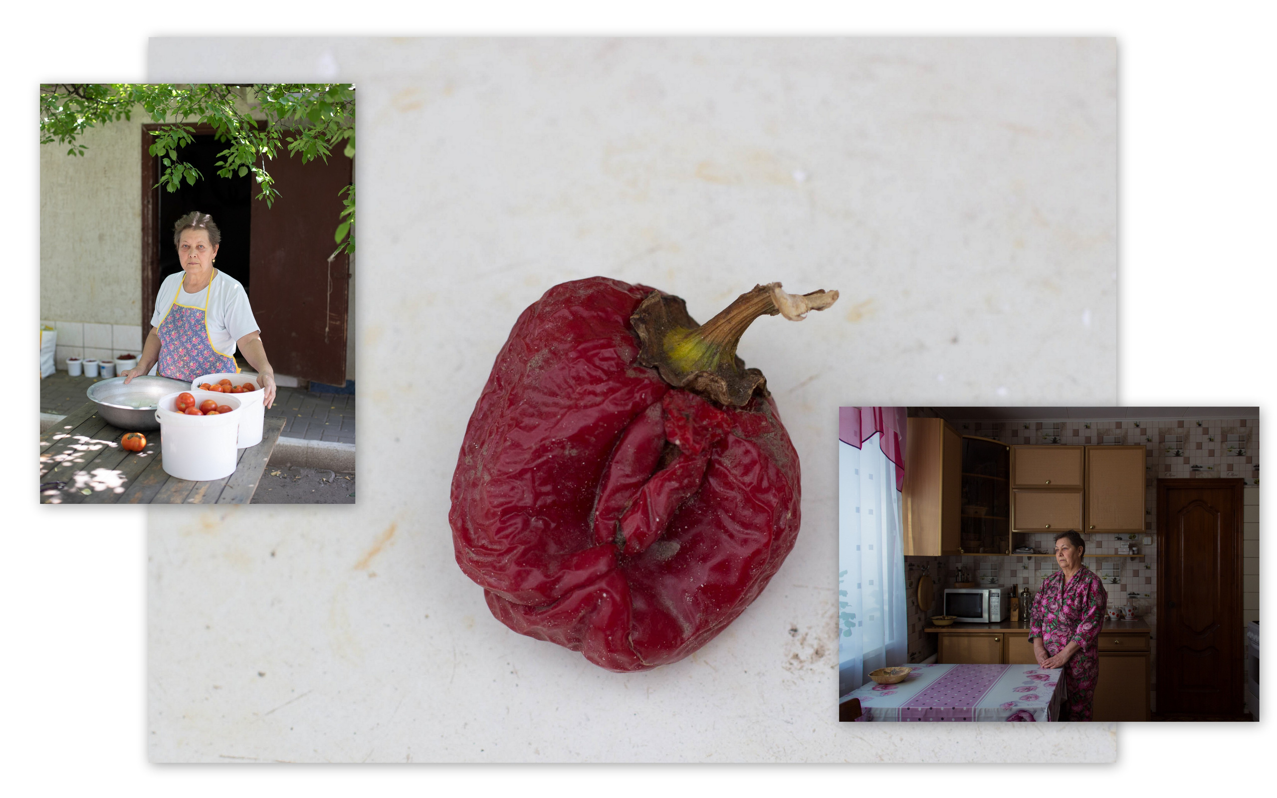 Персональная выставка Елены Терентьевой ''Чувство дома''