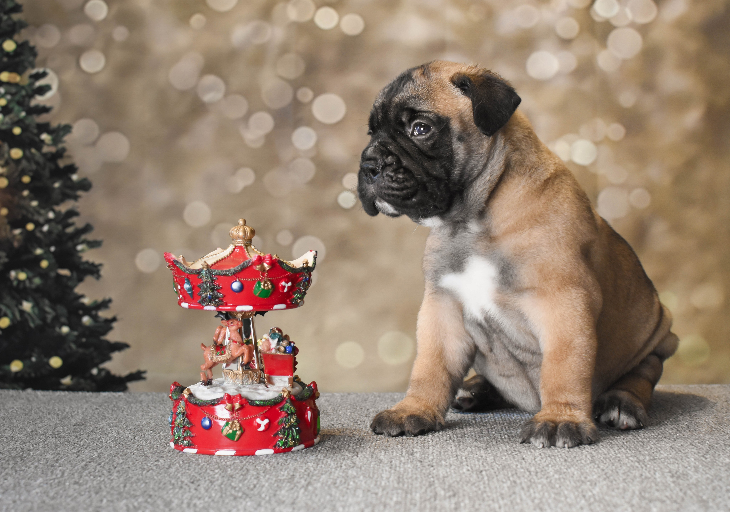 В созвучии с природой. Фотограф Светлана В. Пронина, Москва