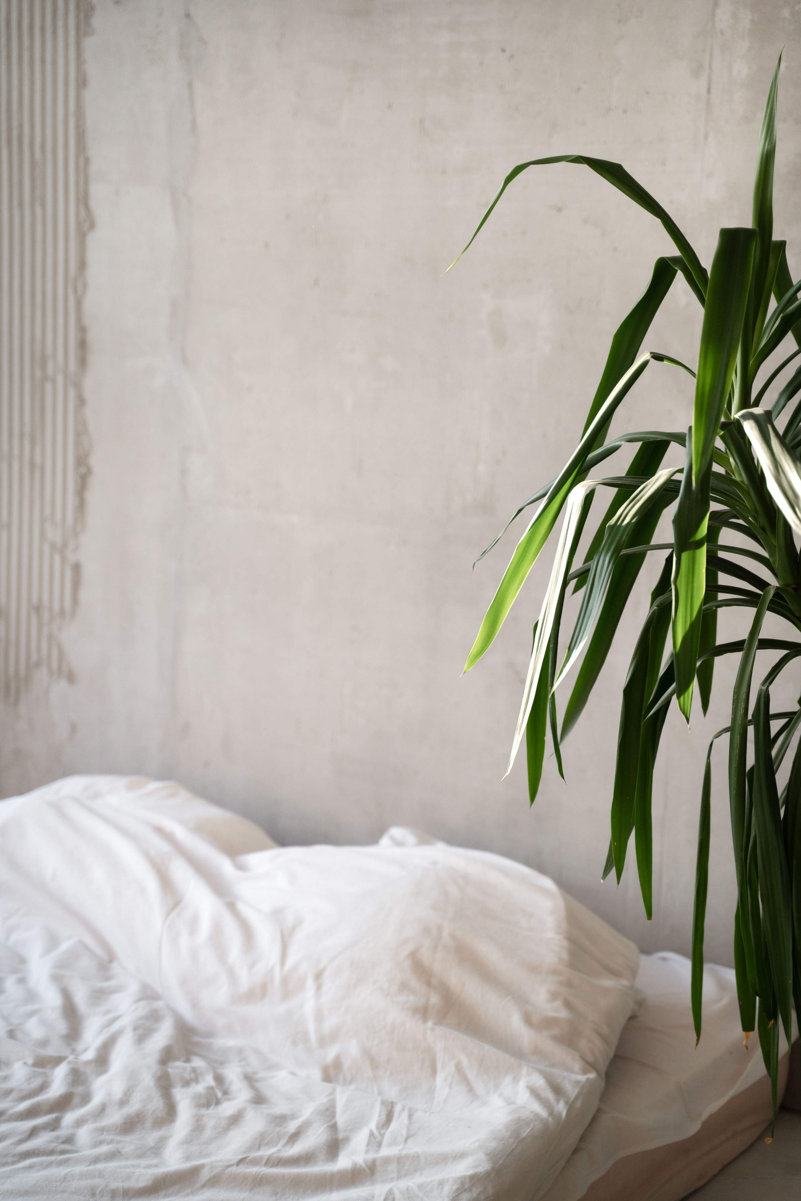 Фотостудия. Фотограф Вера Зверуго в Орле