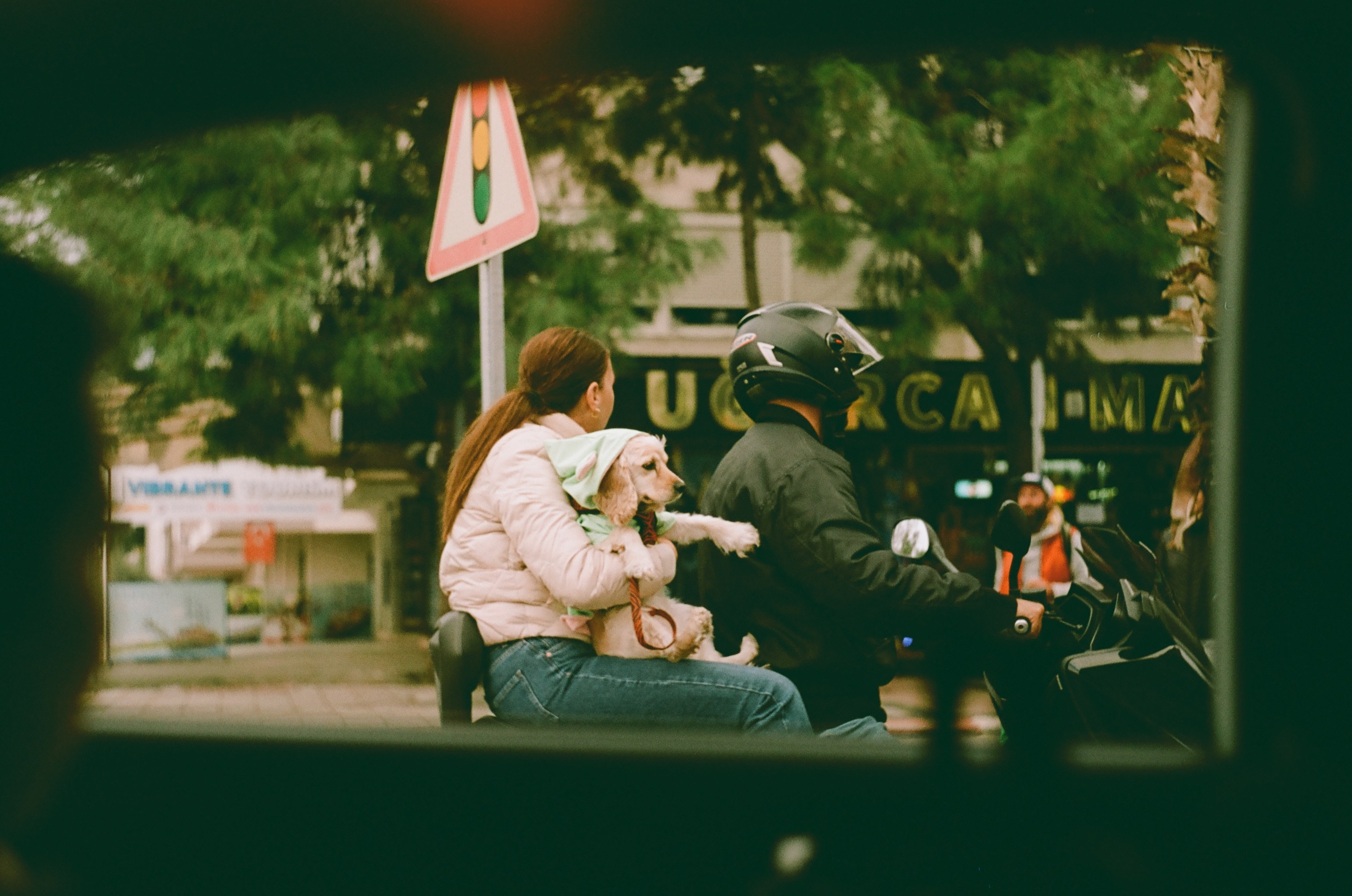 Автор: Дарья Сухих