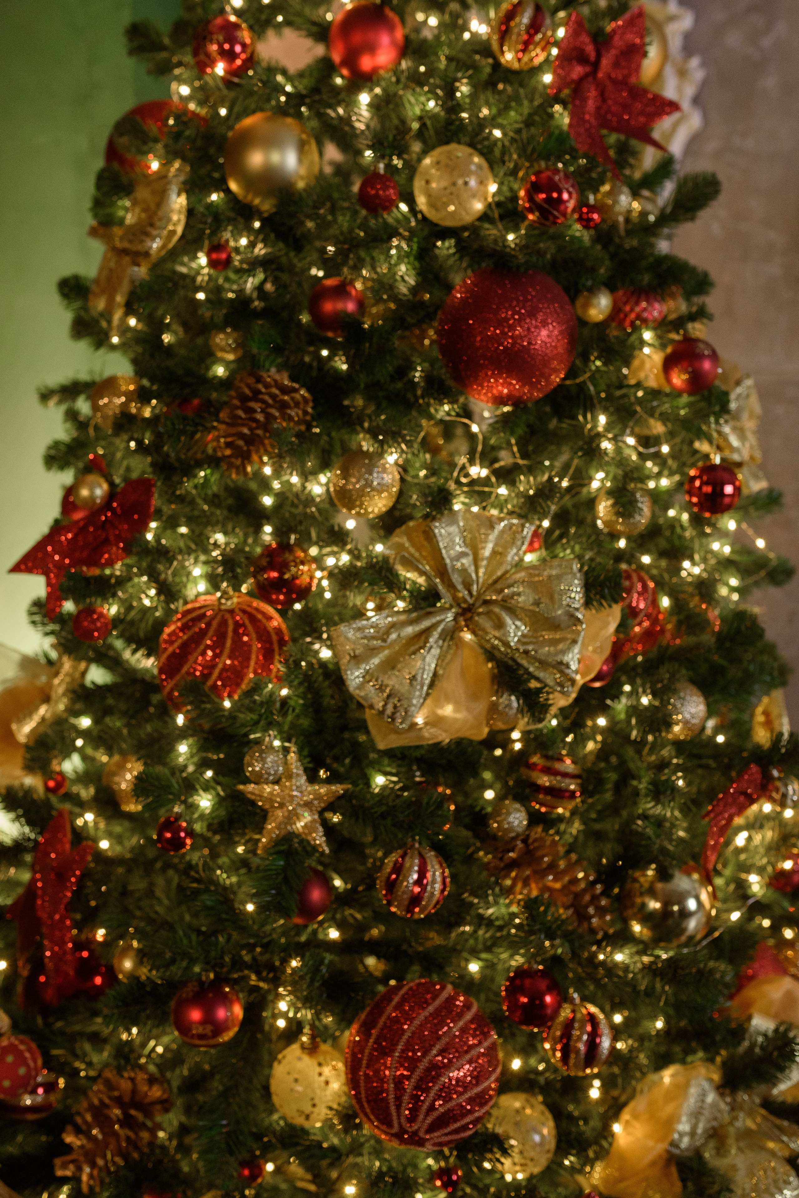 Фотостудия и фотограф в Майкопе — ProfessionalFoto