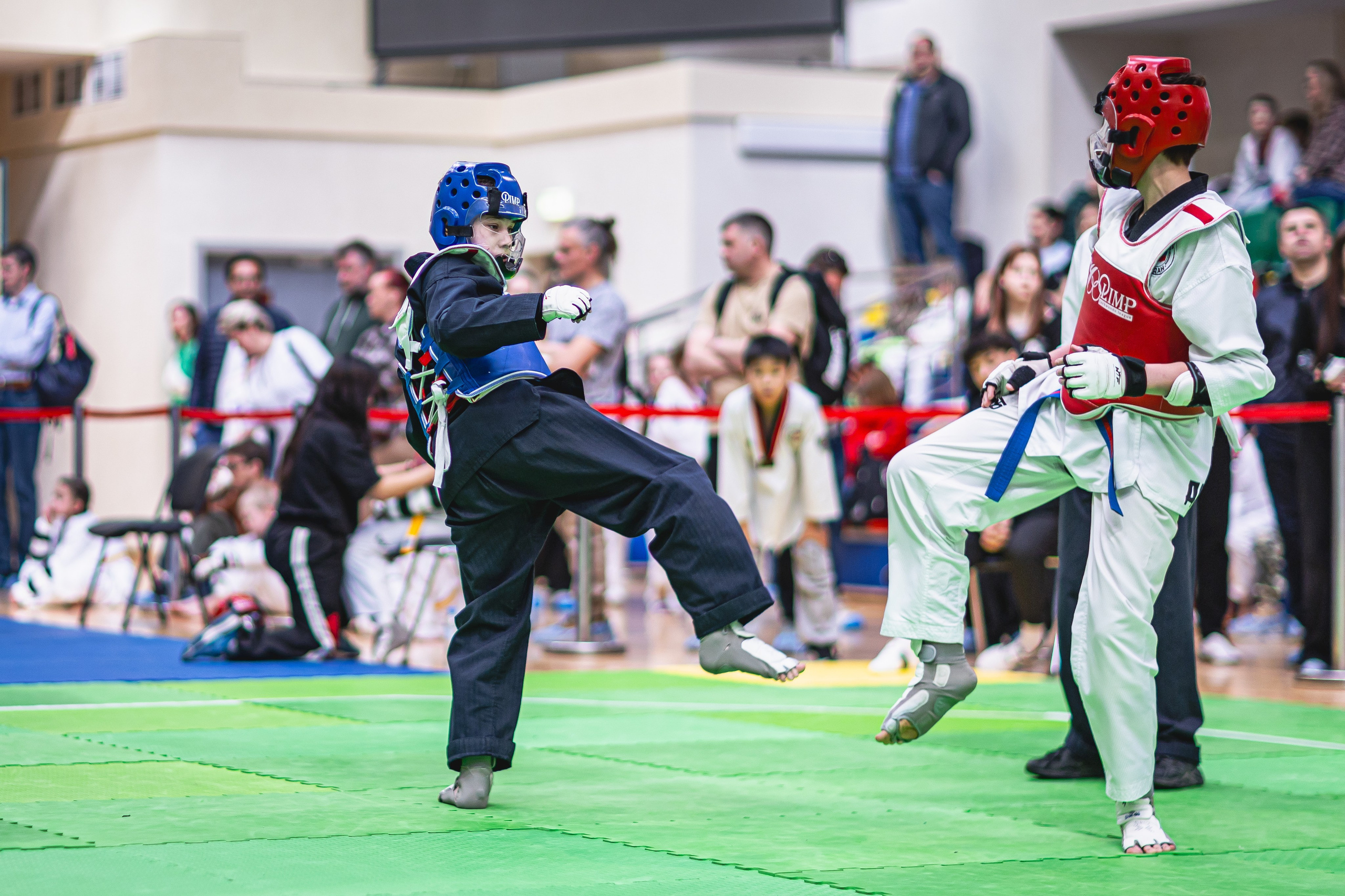 Турнир ВДЮФСОО «ФЕДЕРАЦИЯ ДЕТСКОГО ТХЭКВОНДО РОССИИ» и МОО СПКЕ «ЭРИДАН» по «СПОРТИВНОМУ БОЮ КЕРУГИ». Спортивный фотограф Максим Серегин