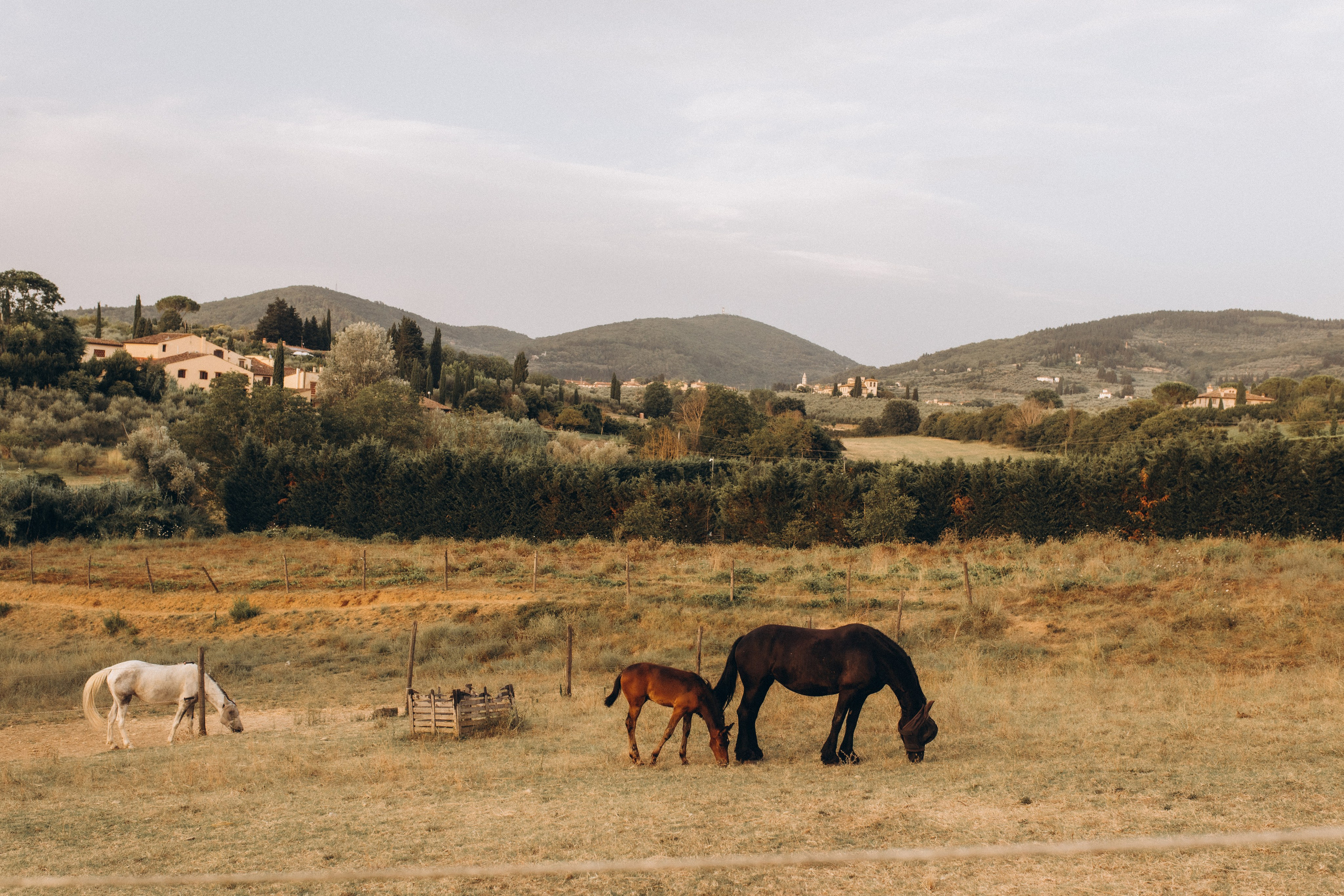 Фотограф в Москве Алёна Гладкова