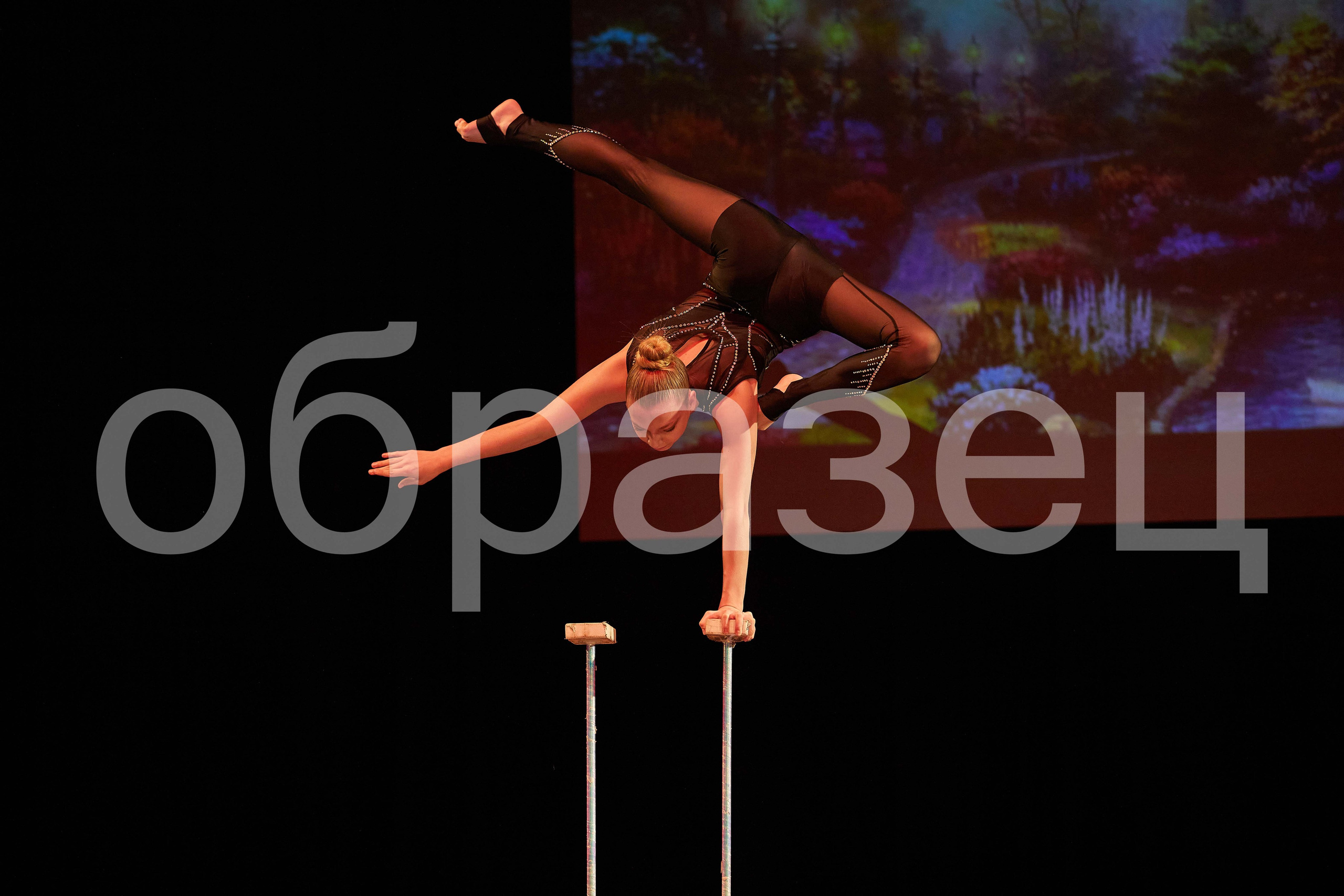 Анонс 1-го дня Фестиваля балет «София-Русь». Фотограф, фотопроекты Михаила Семенова в Ярославле. Фотошкола