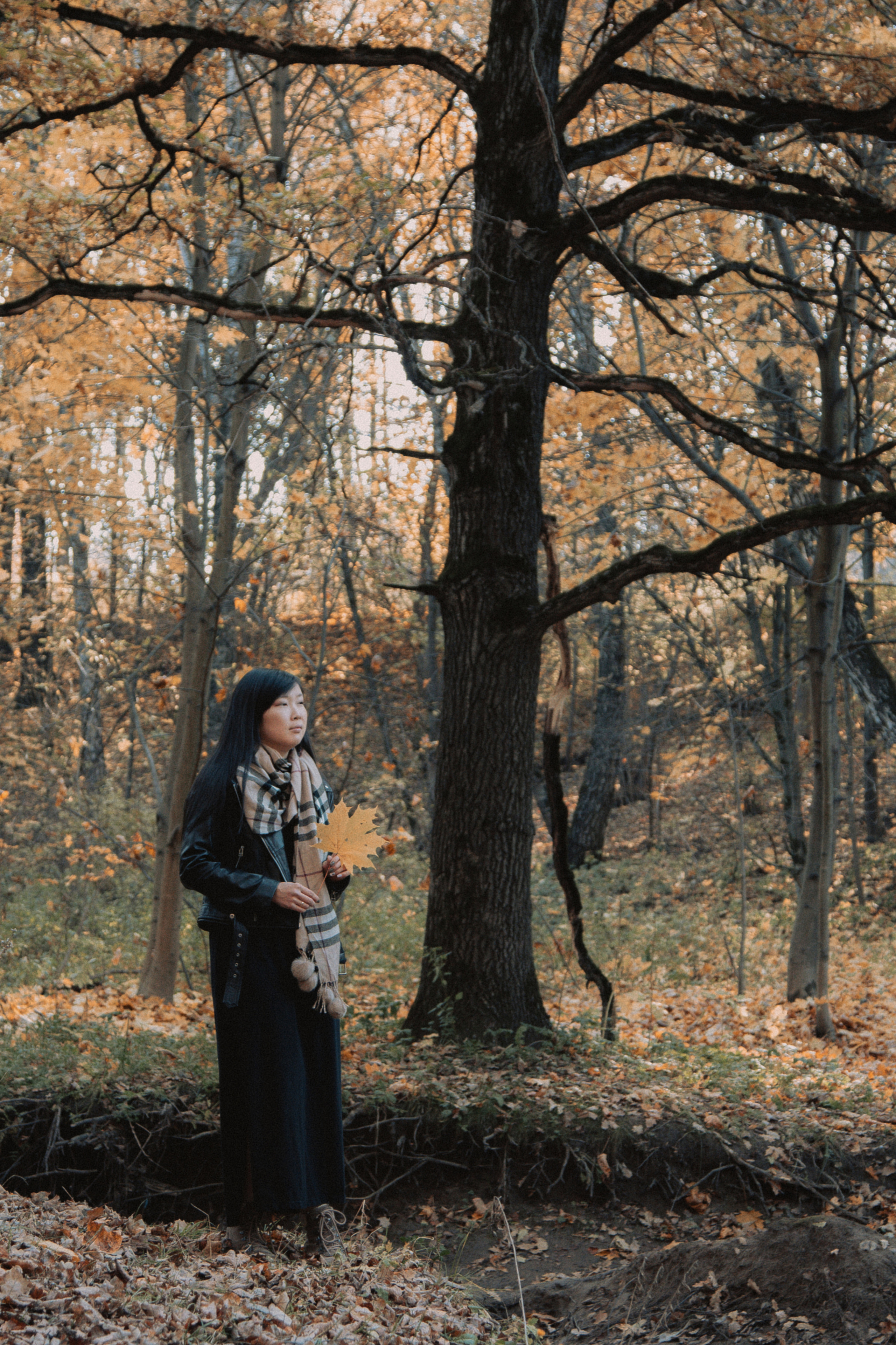 Осенняя прогулка в Битцевском лесу. Балетный фотограф в Москве Галина Молчанова