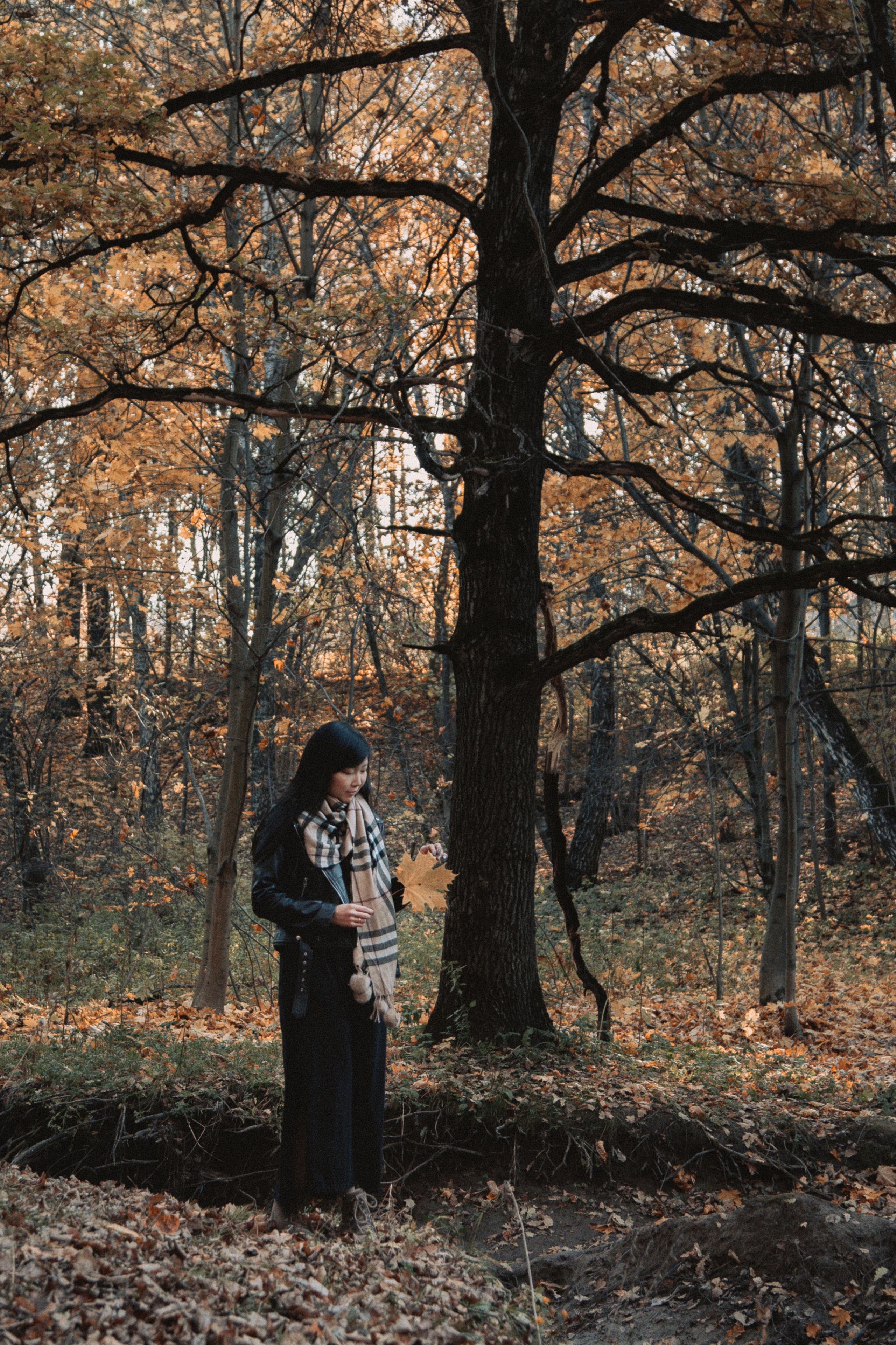 Осенняя прогулка в Битцевском лесу. Балетный фотограф в Москве Галина Молчанова