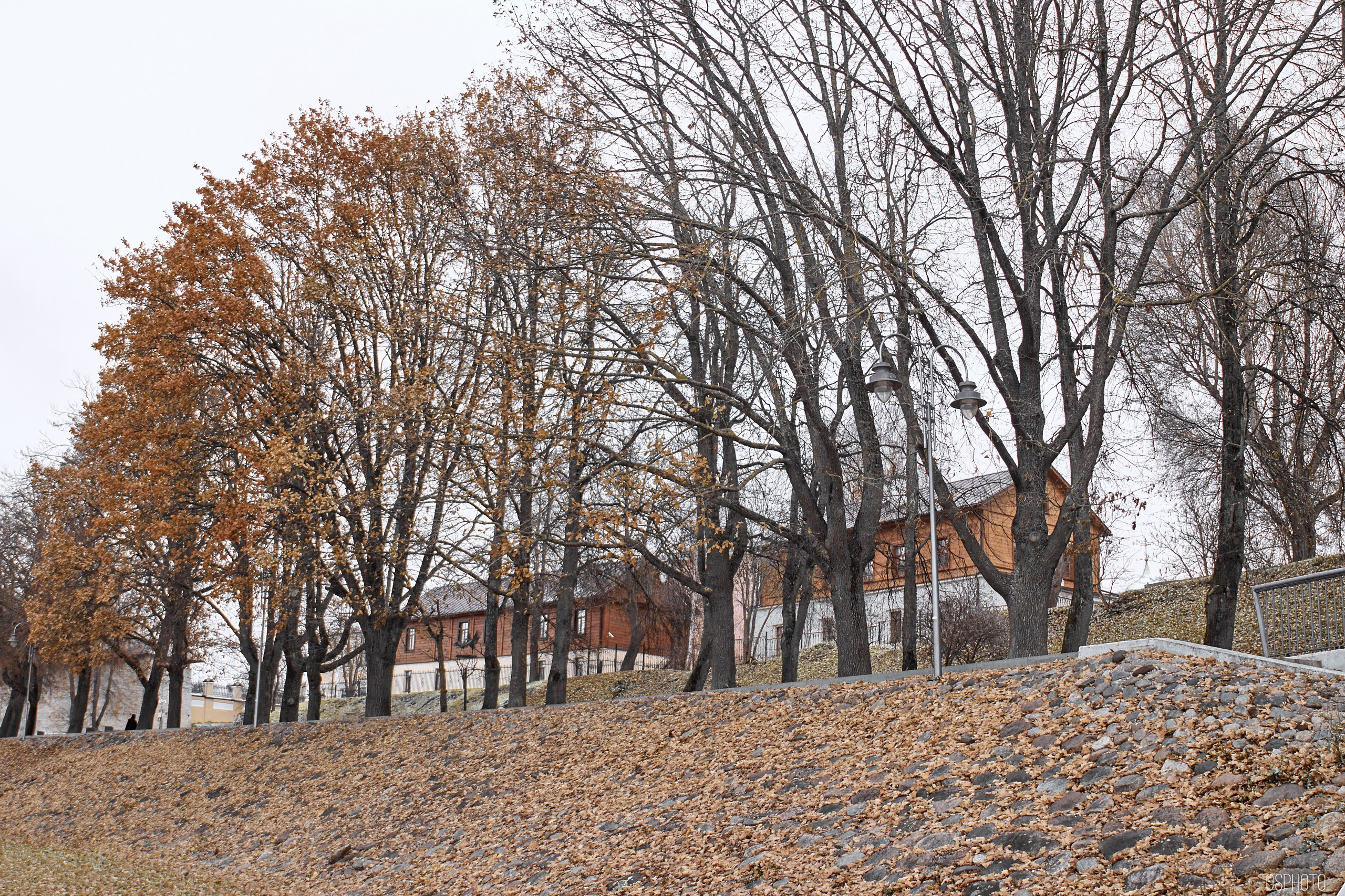 Псков. Ноябрь. Фотографъ Сергѣевъ. Поймать мгновеніе