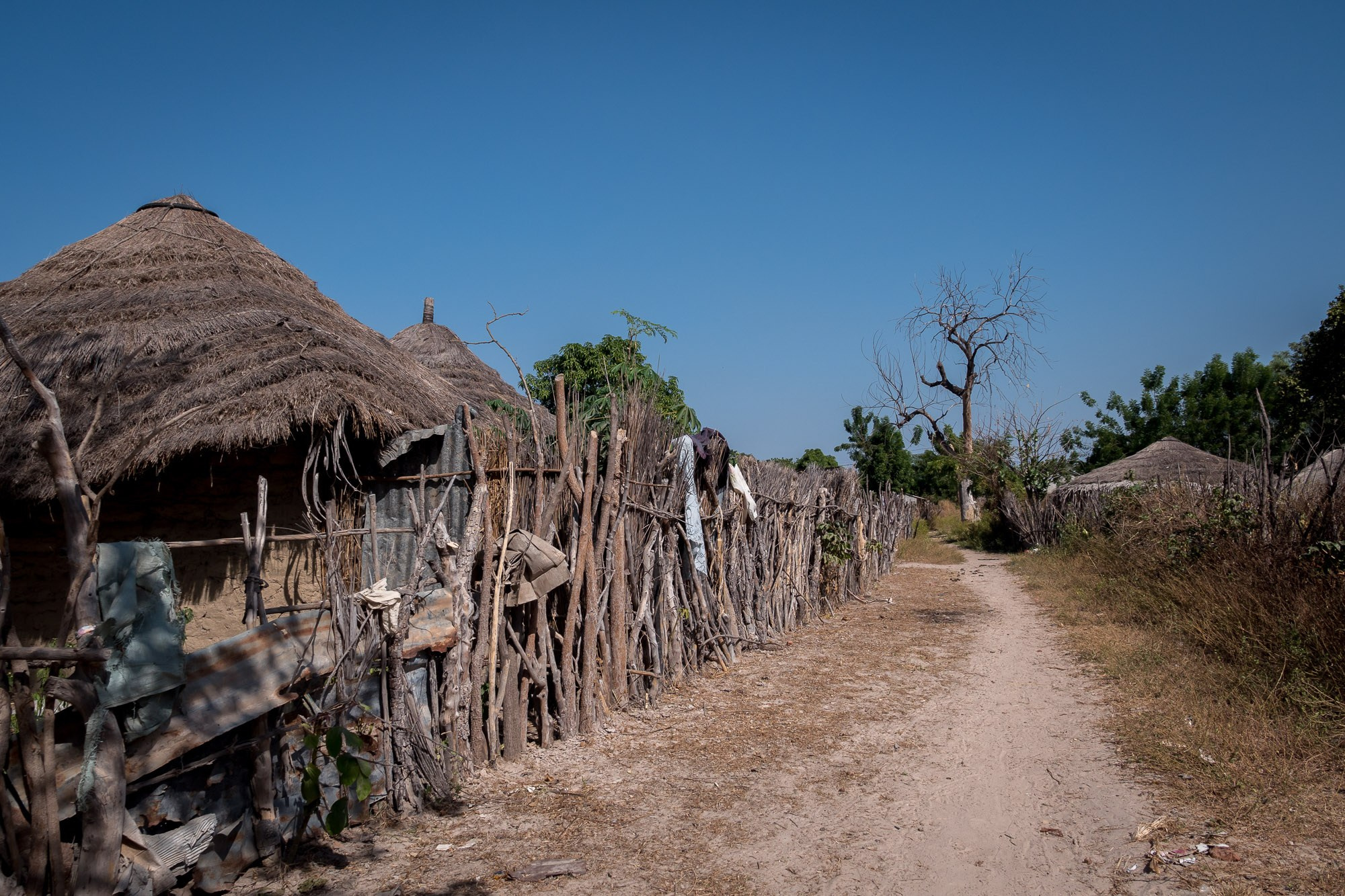 Путешествие по Гамбии (Западная Африка).Traveling in Gambia (West Africa.). Фотограф Алексей Скоробогатько