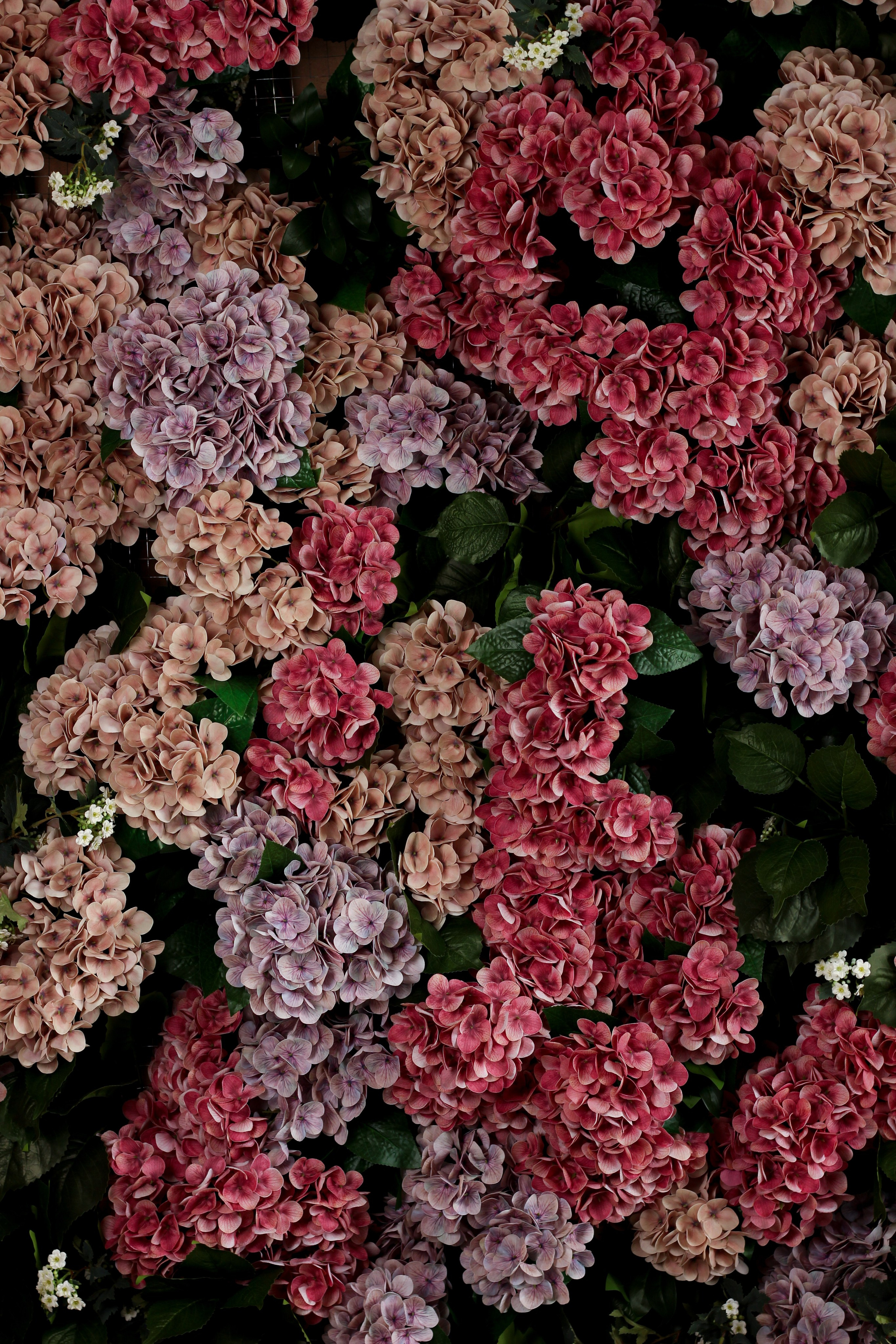 Фотосессия беременности в фотостудии Gallery. Фотограф Красноярск