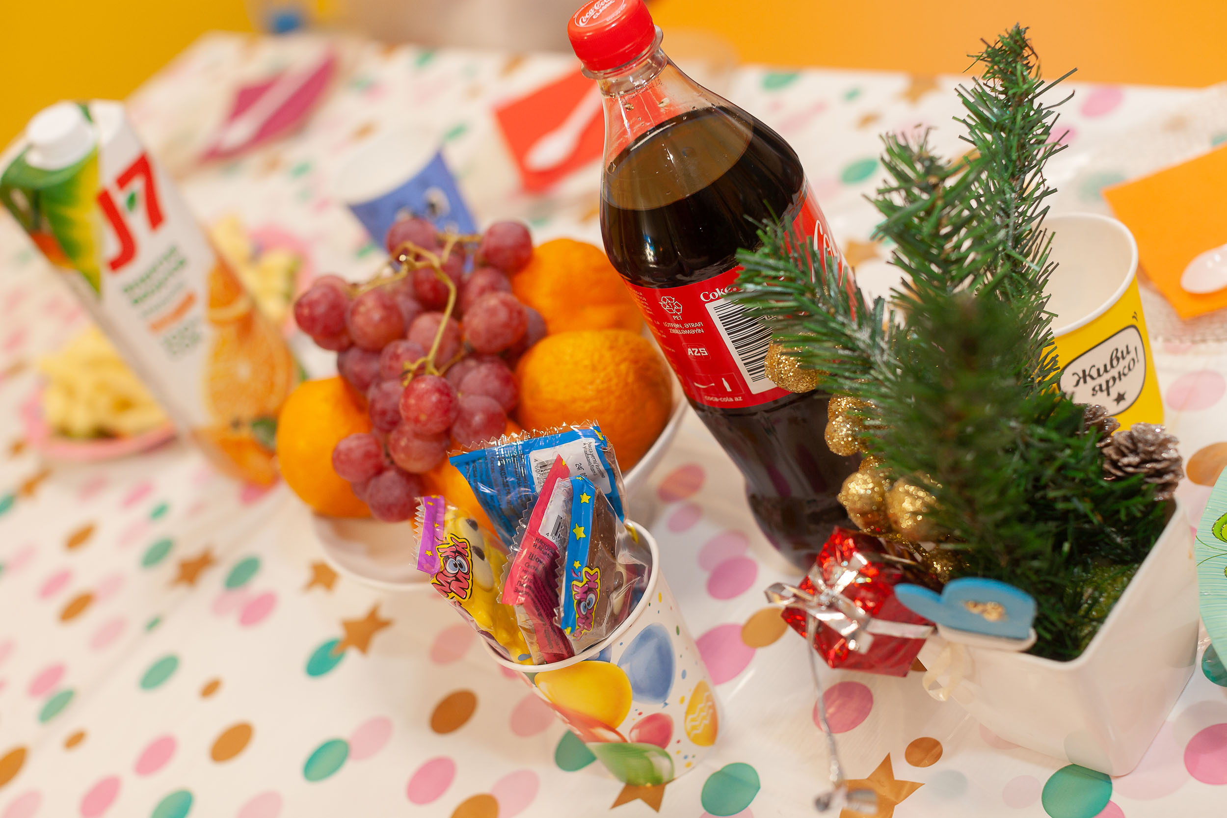 Фотограф на детский День рождения в Вологде