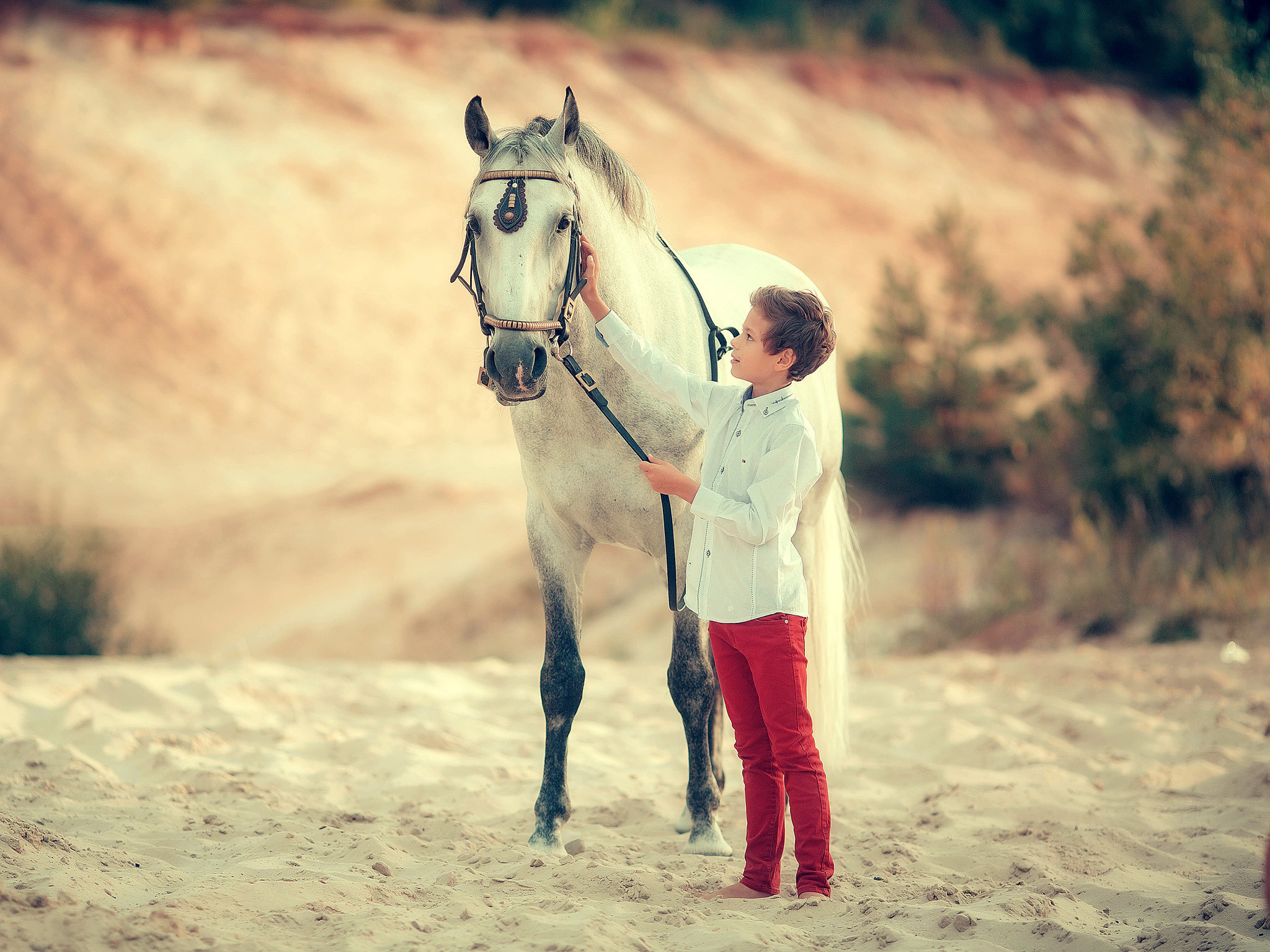 Детская фотосессия с конем Лапиком в песках. Детский и семейный фотограф с животными в Москве Гурьева Надежда