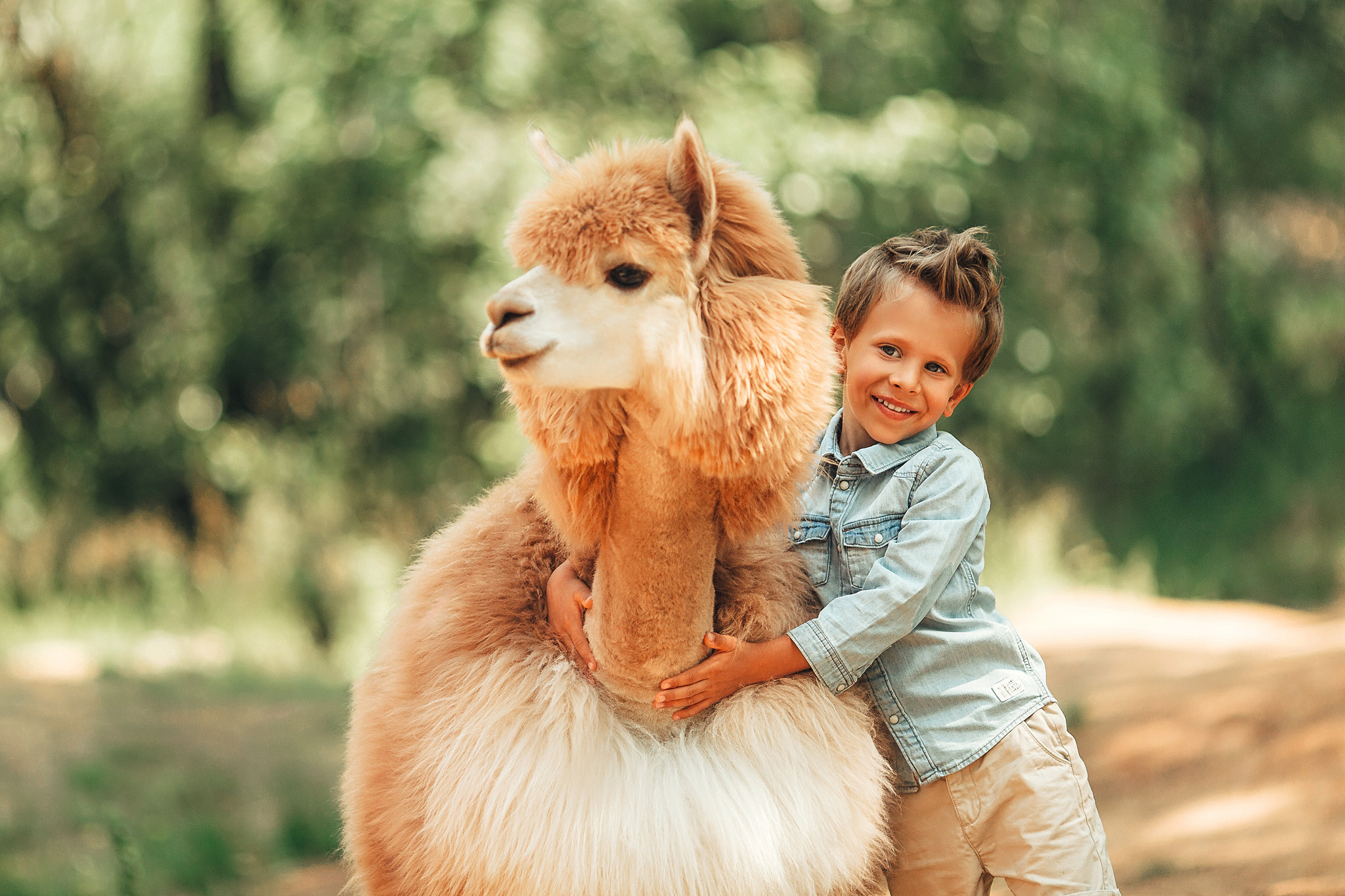 Фотосессии с ламами. Детский и семейный фотограф с животными в Москве Гурьева Надежда