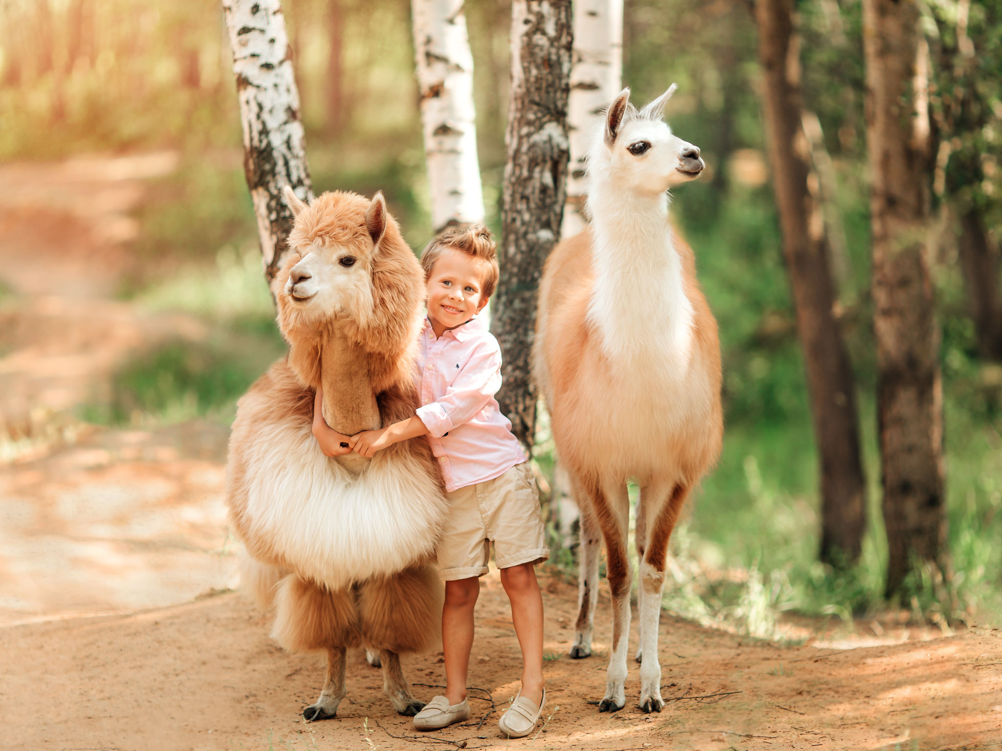 Фотосессии с ламами. Детский и семейный фотограф с животными в Москве Гурьева Надежда