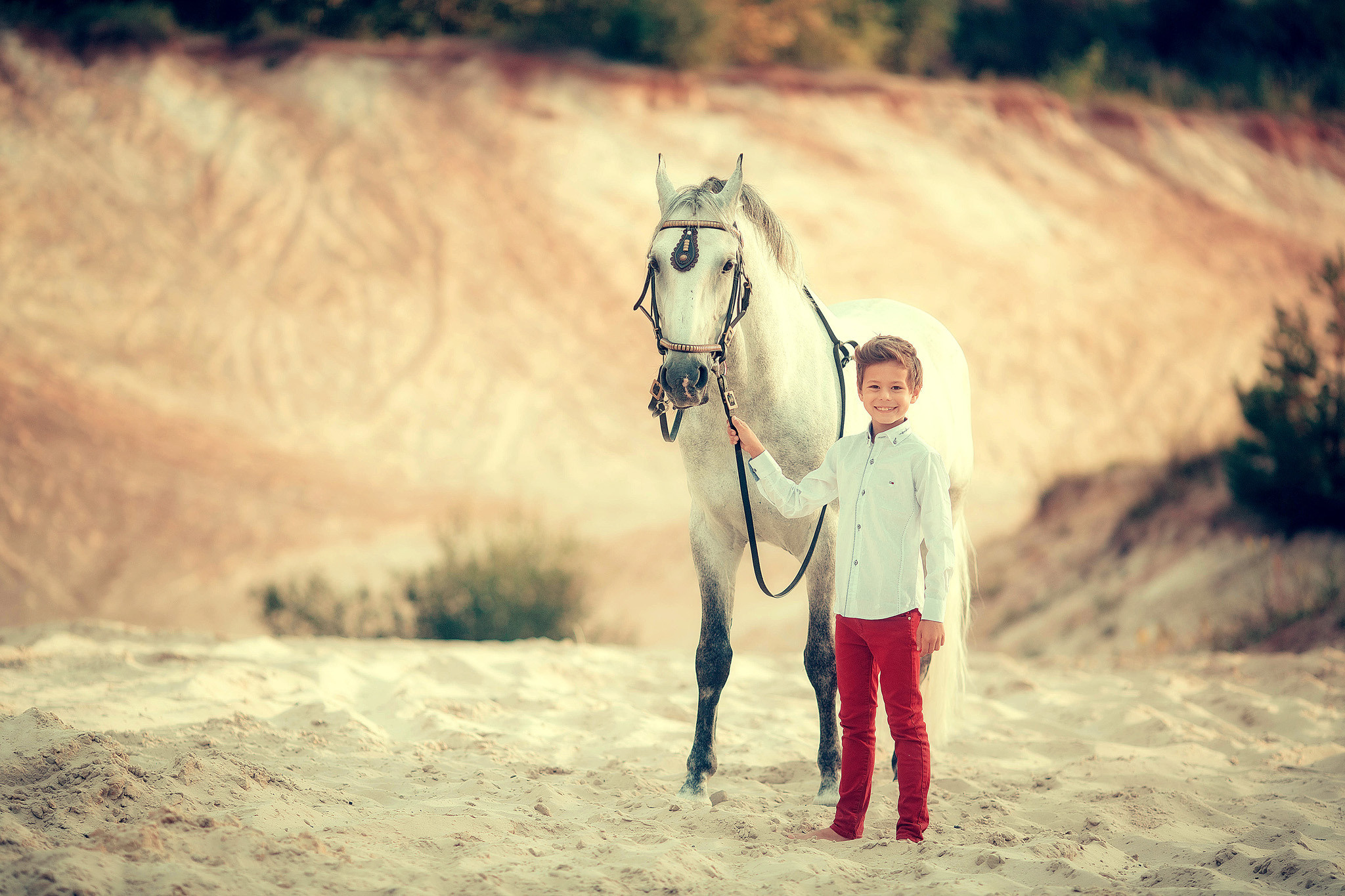 Детская фотосессия с конем Лапиком в песках. Детский и семейный фотограф с животными в Москве Гурьева Надежда