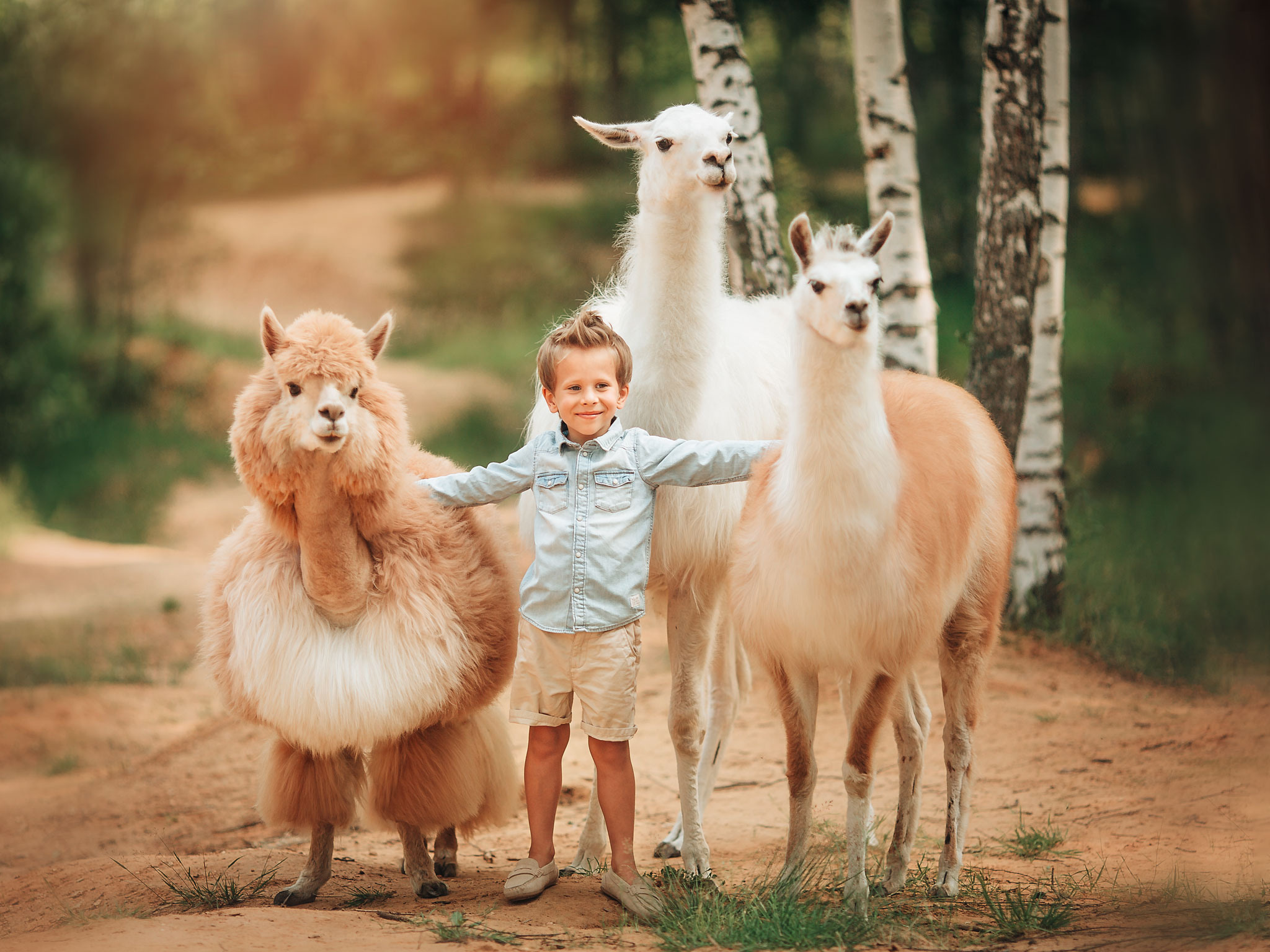 Фотосессии с ламами. Детский и семейный фотограф с животными в Москве Гурьева Надежда