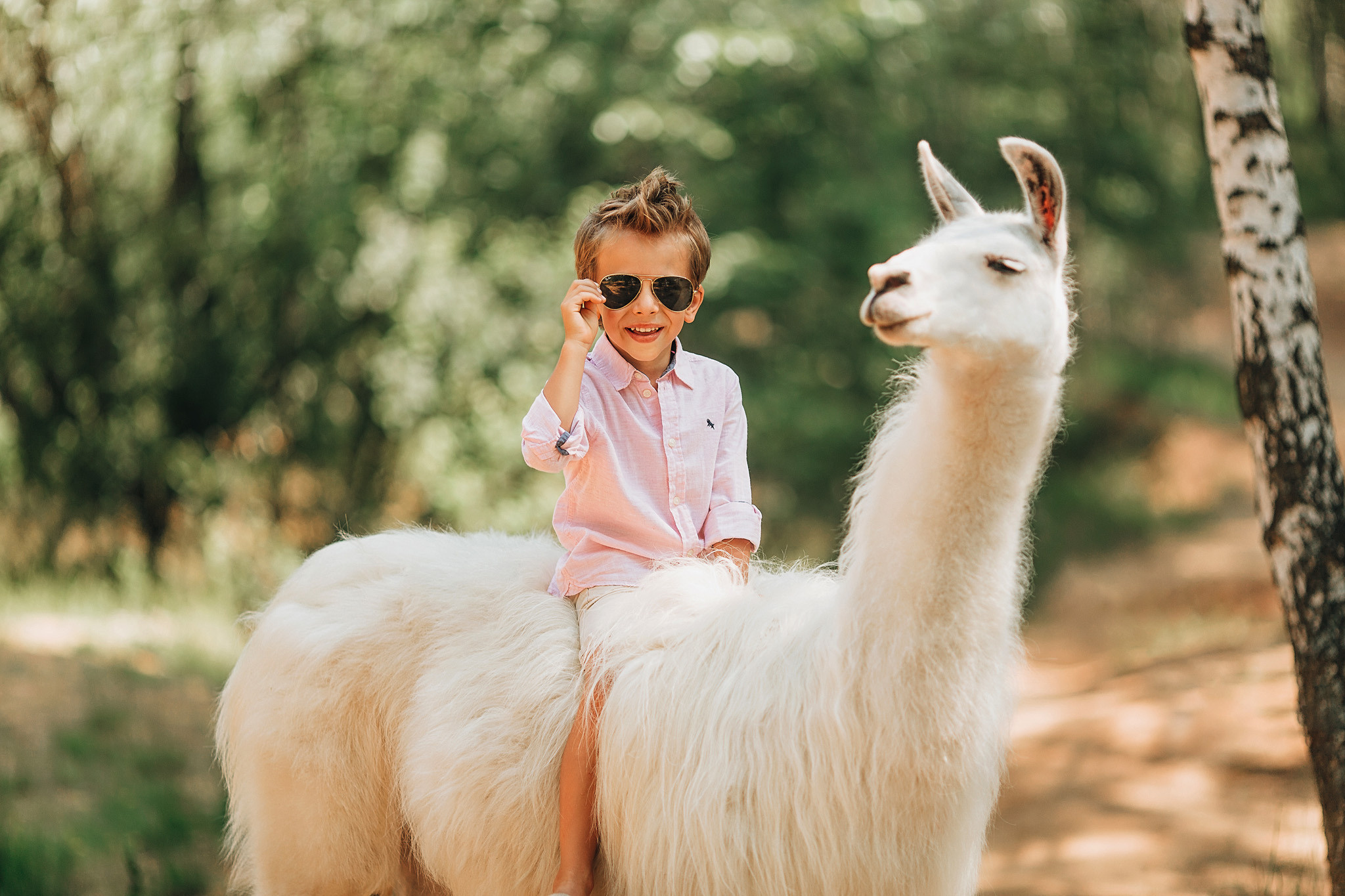 Фотосессии с ламами. Детский и семейный фотограф с животными в Москве Гурьева Надежда