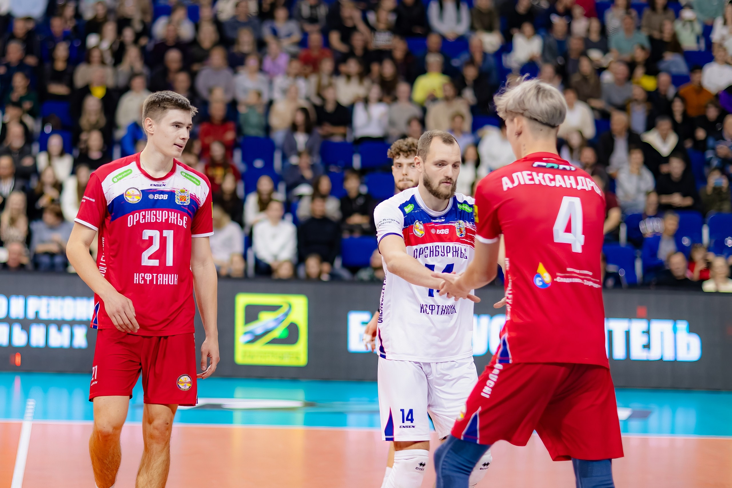 19.10 Волейбол. Нефтяник-Белгорье. Команда специалистов в мире фотографии и видео. Детский фотограф, семейный фотограф