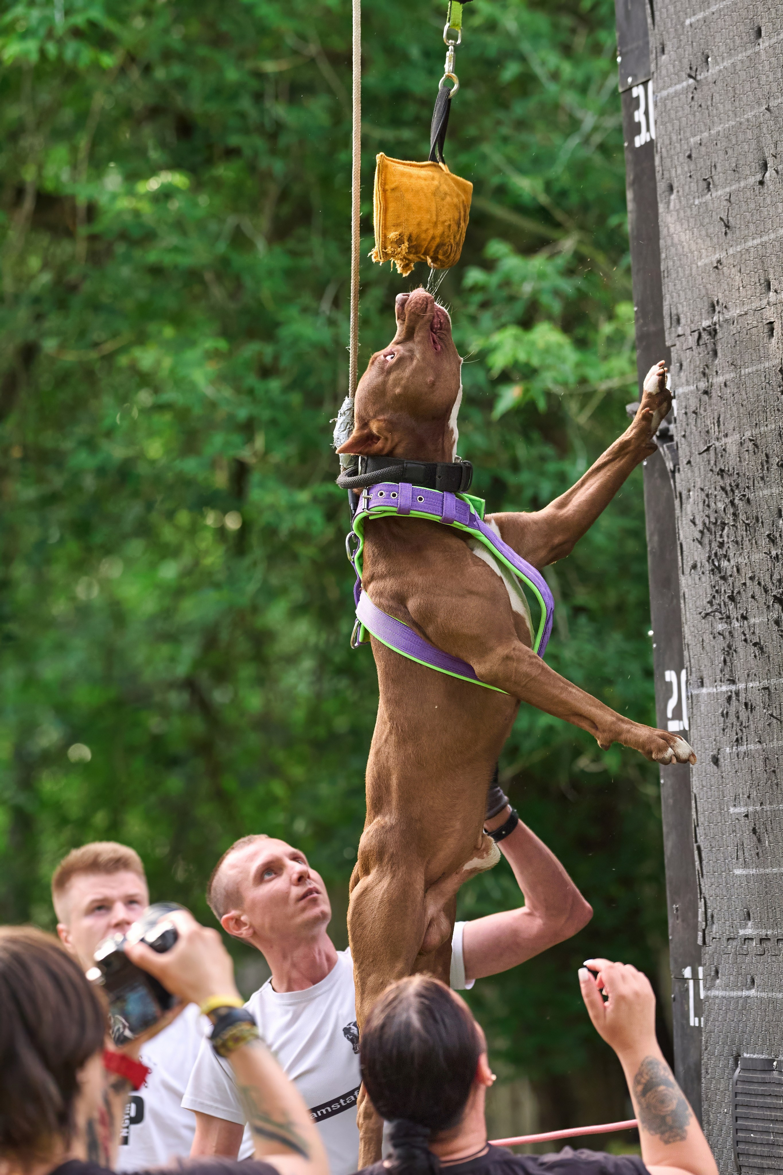 Jump'n'Gym JUMP! — 2024. Фотограф-анималист Михаил Манухин