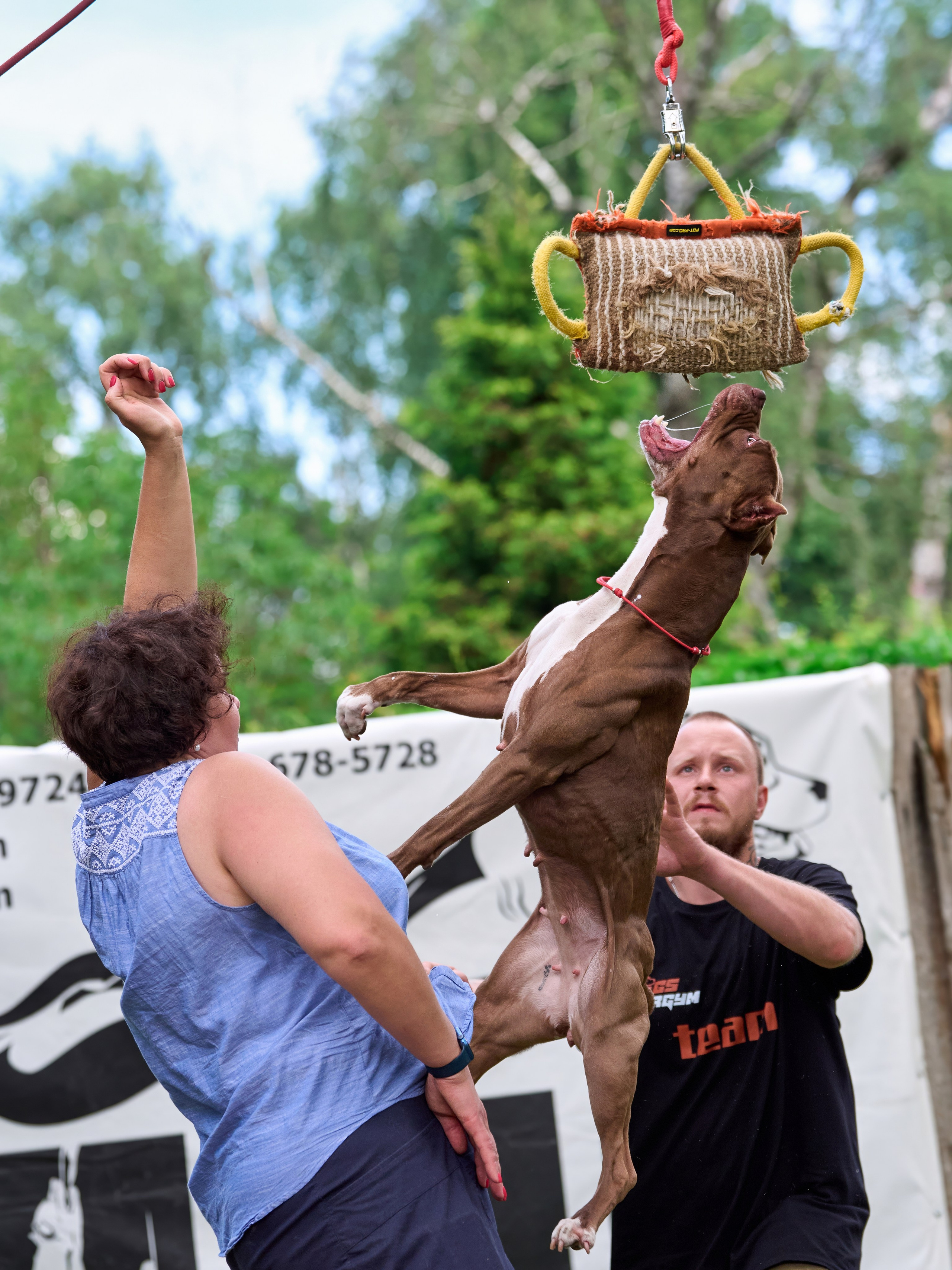 Двухдневные соревнования «Jump'n'Gym Fest — 2024». Фотограф-анималист Михаил Манухин