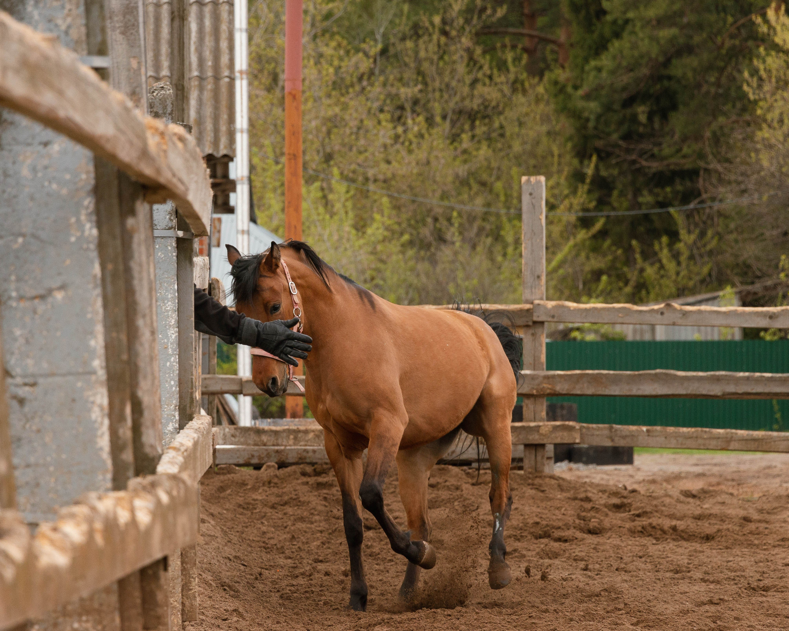 Олег Романов. Мастер фото по спорту