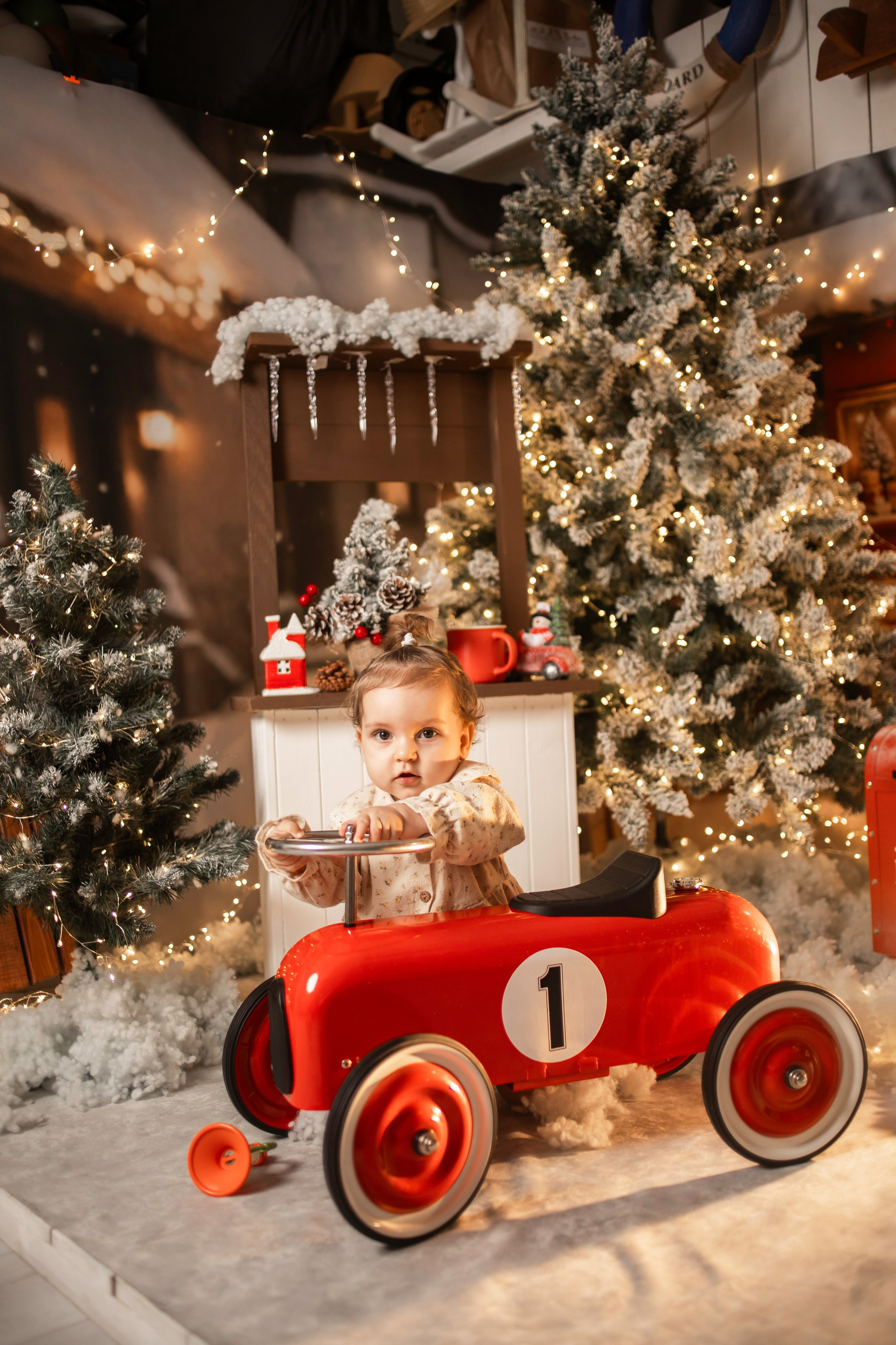 Новый год 26. Семейный фотограф в Сочи, Лоо, Дагомысе, Вардане Кучумова Олеся