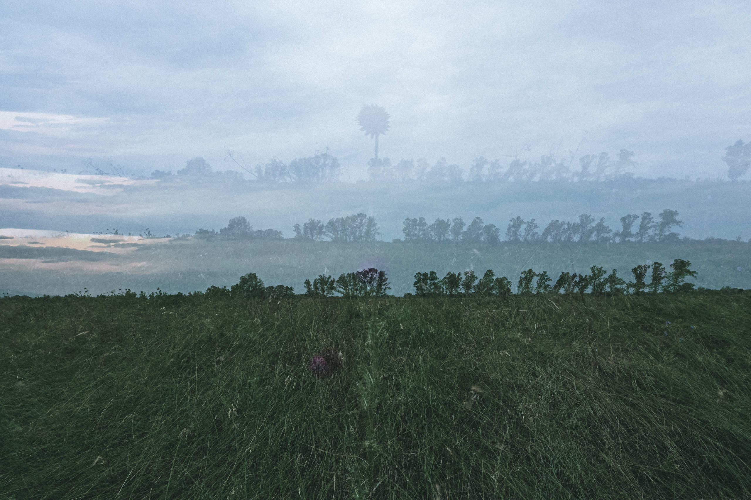 К И К И М О Р А. Никонёнок Анна фотограф