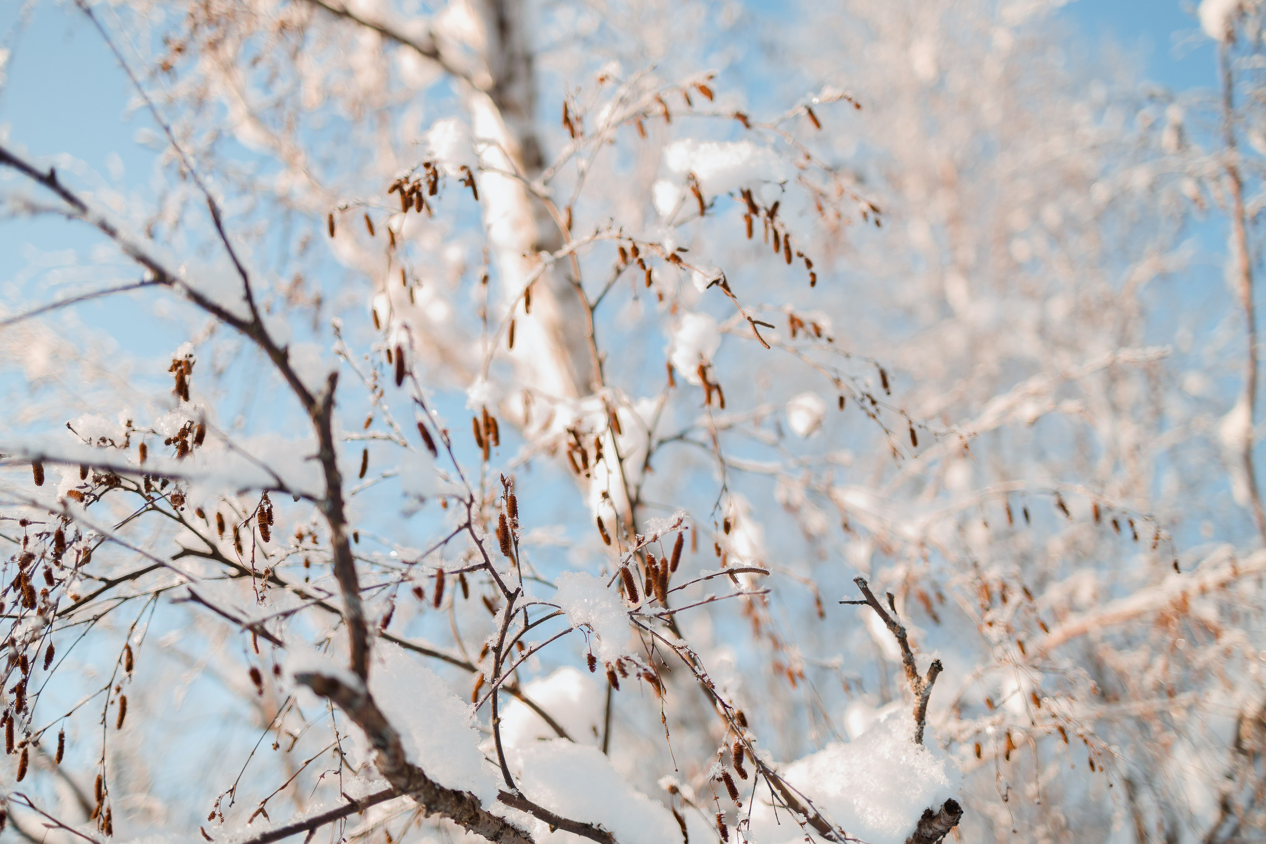 Зима 2023, -30. Семейный и детский фотограф в Железногорске Саламахо Ольга