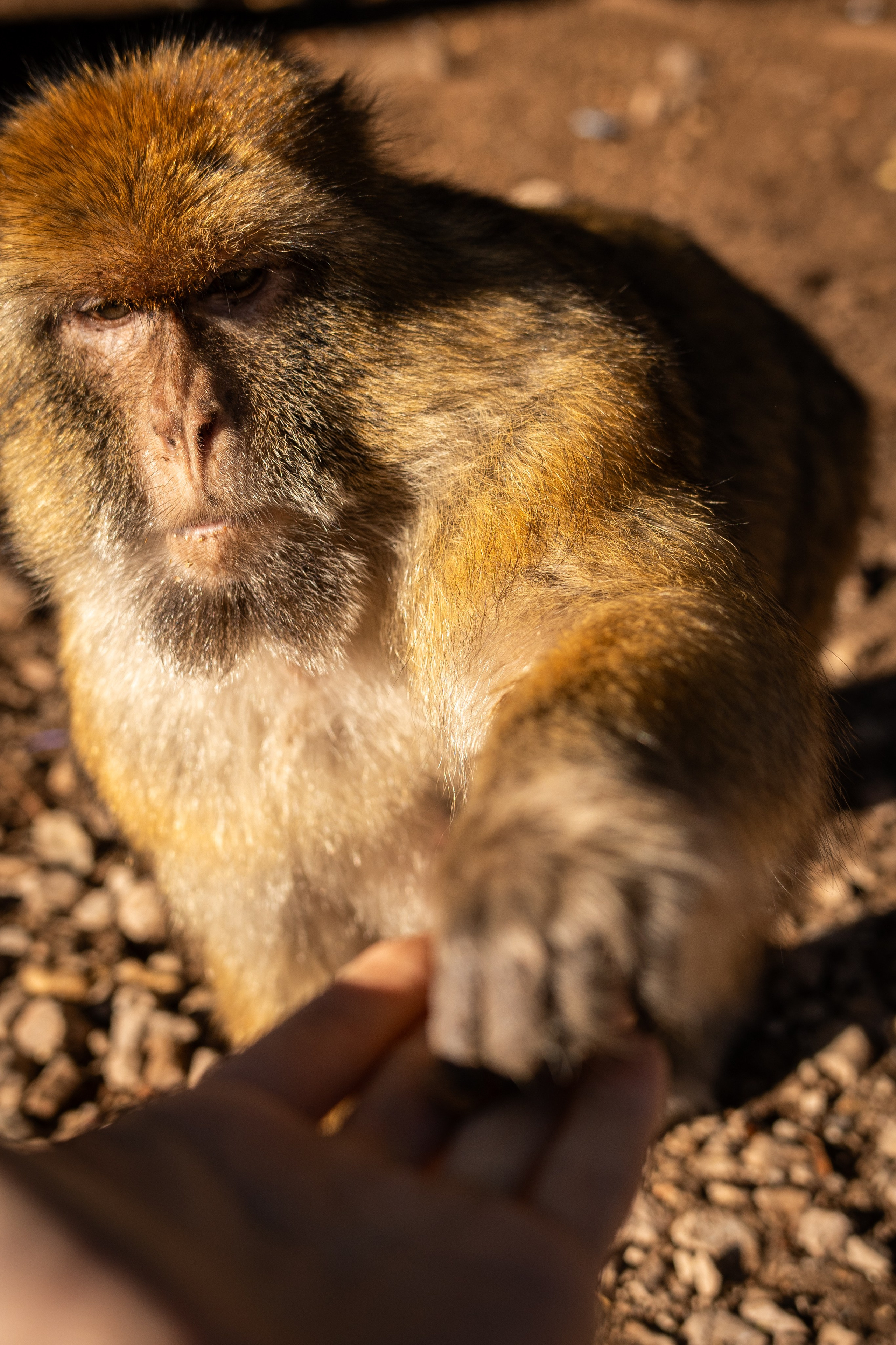 Марокко. Илья Варин — Фотограф Москва, Тверь