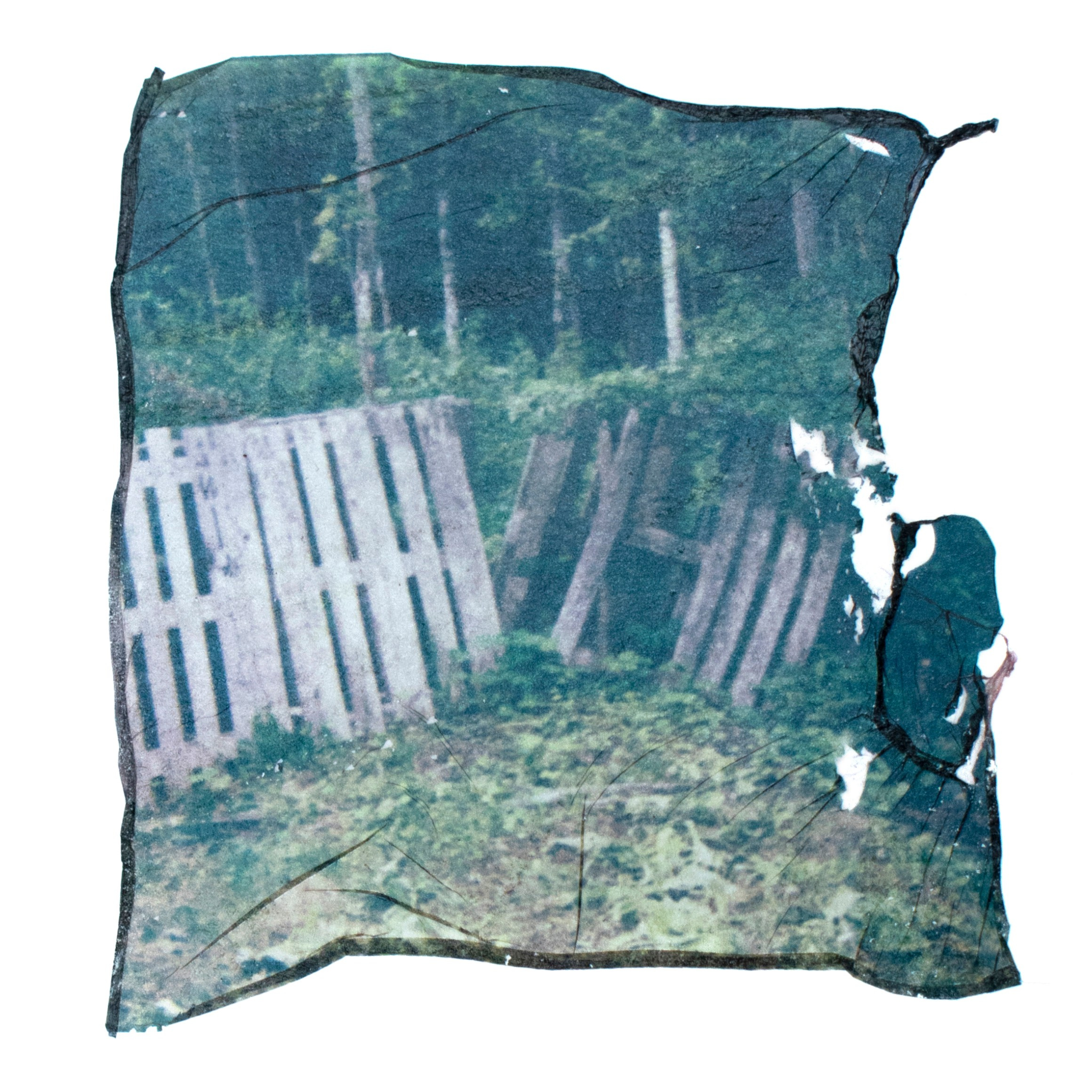 Displacements. Maria Pilkevich