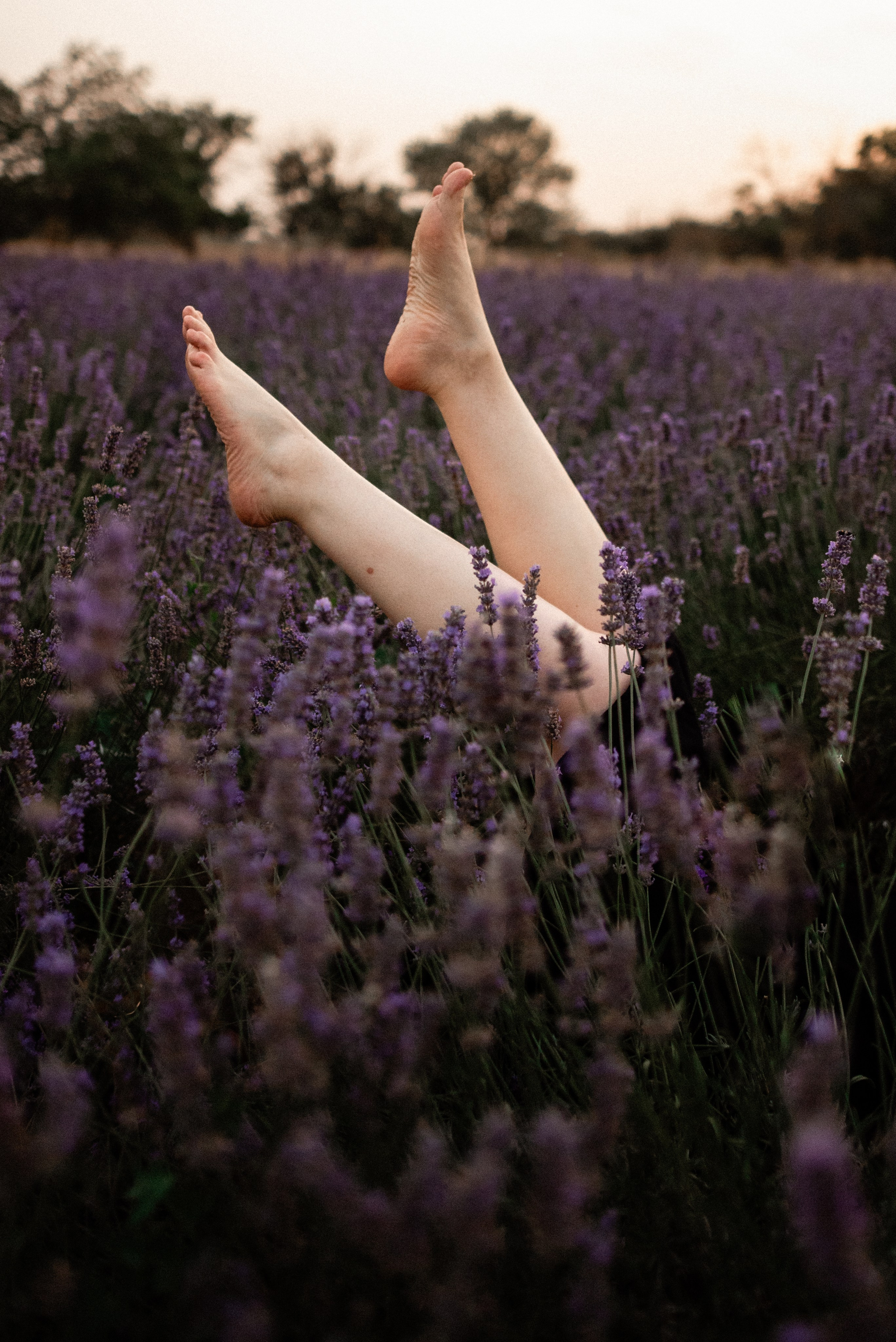 На лавандовом поле. Семейный и детский фотограф в Санкт-Петербурге Татьяна Дмитренко
