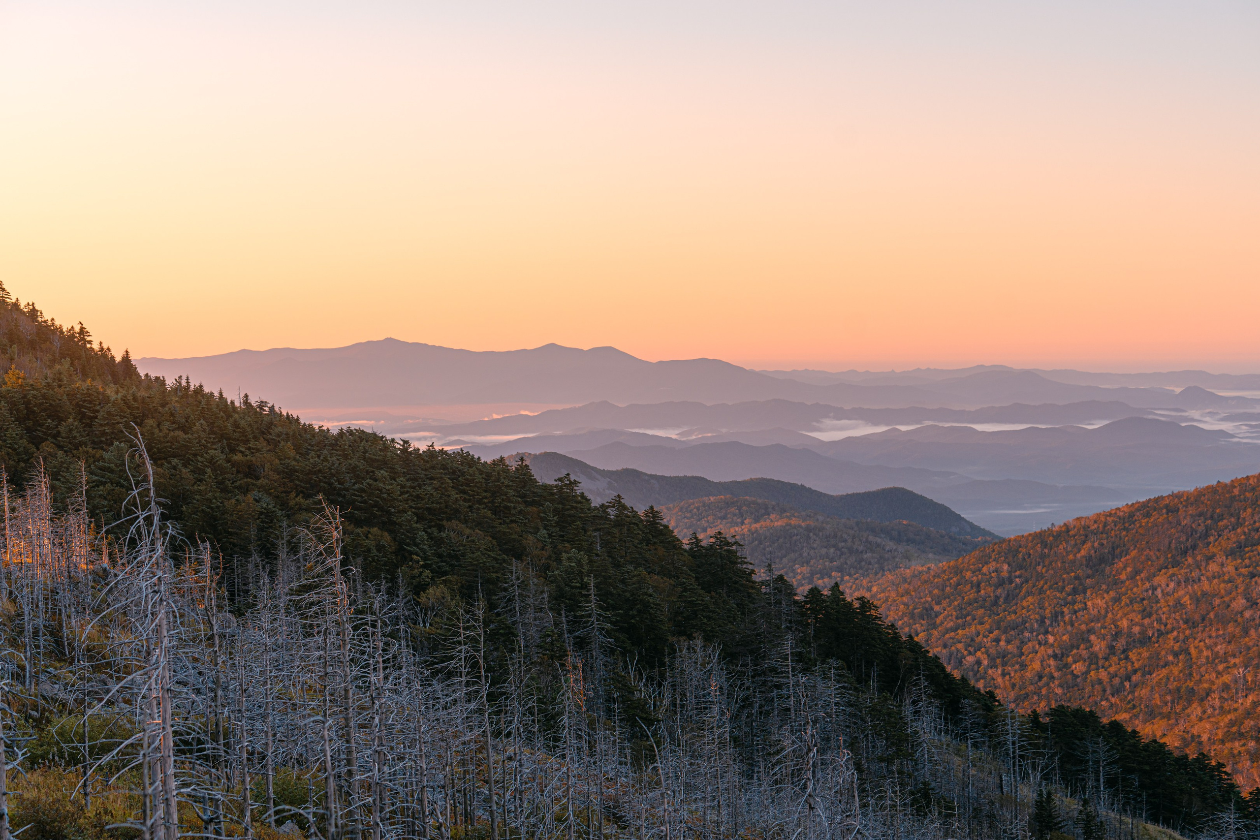 Гора Литовка (Фалаза). Иван Зайцев (IZIART) — создание культурного кода через фото и видео