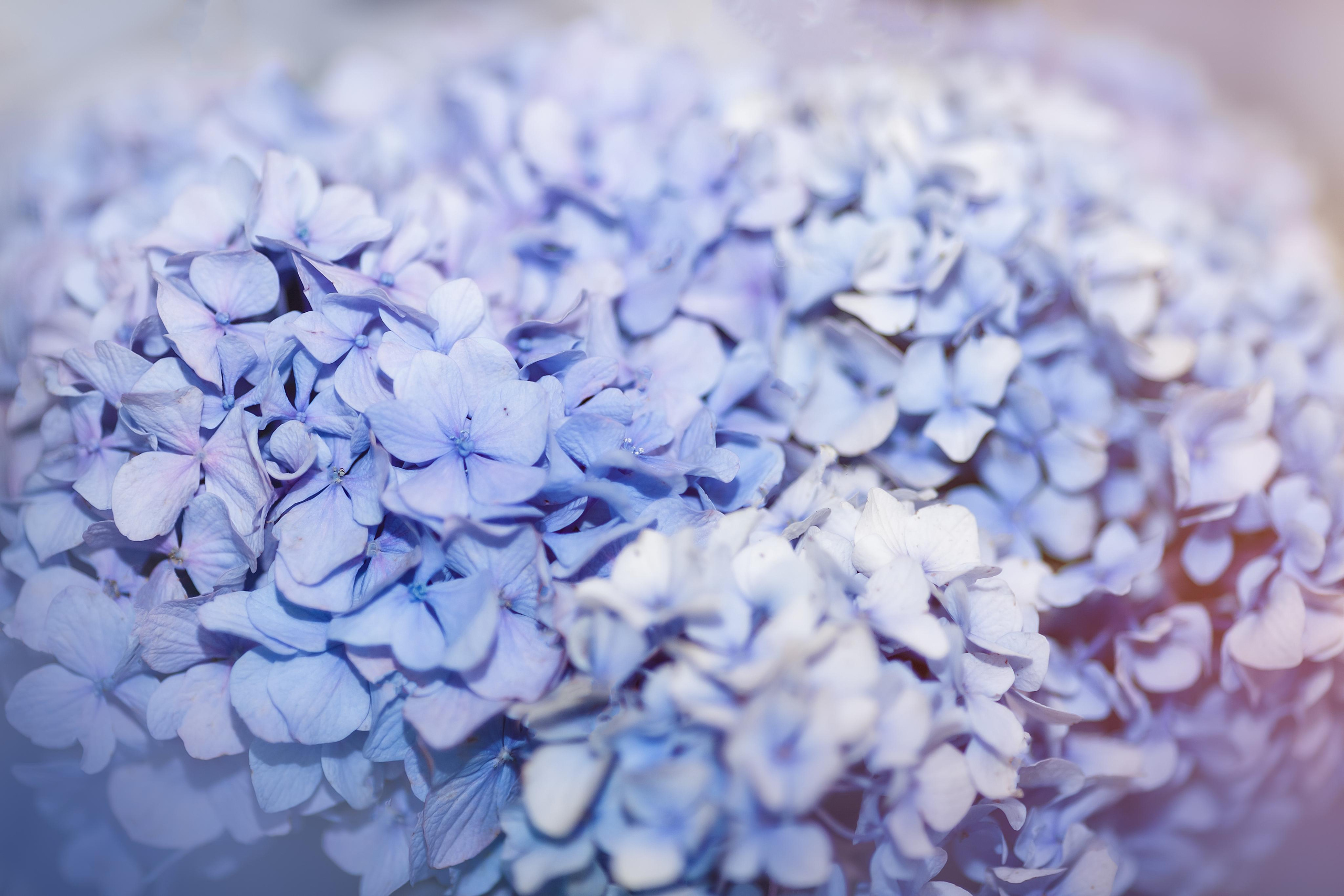 День рождения Сони! 15 лет. Детский, семейный фотограф в Южно-Сахалинске, Невельске и Холмске