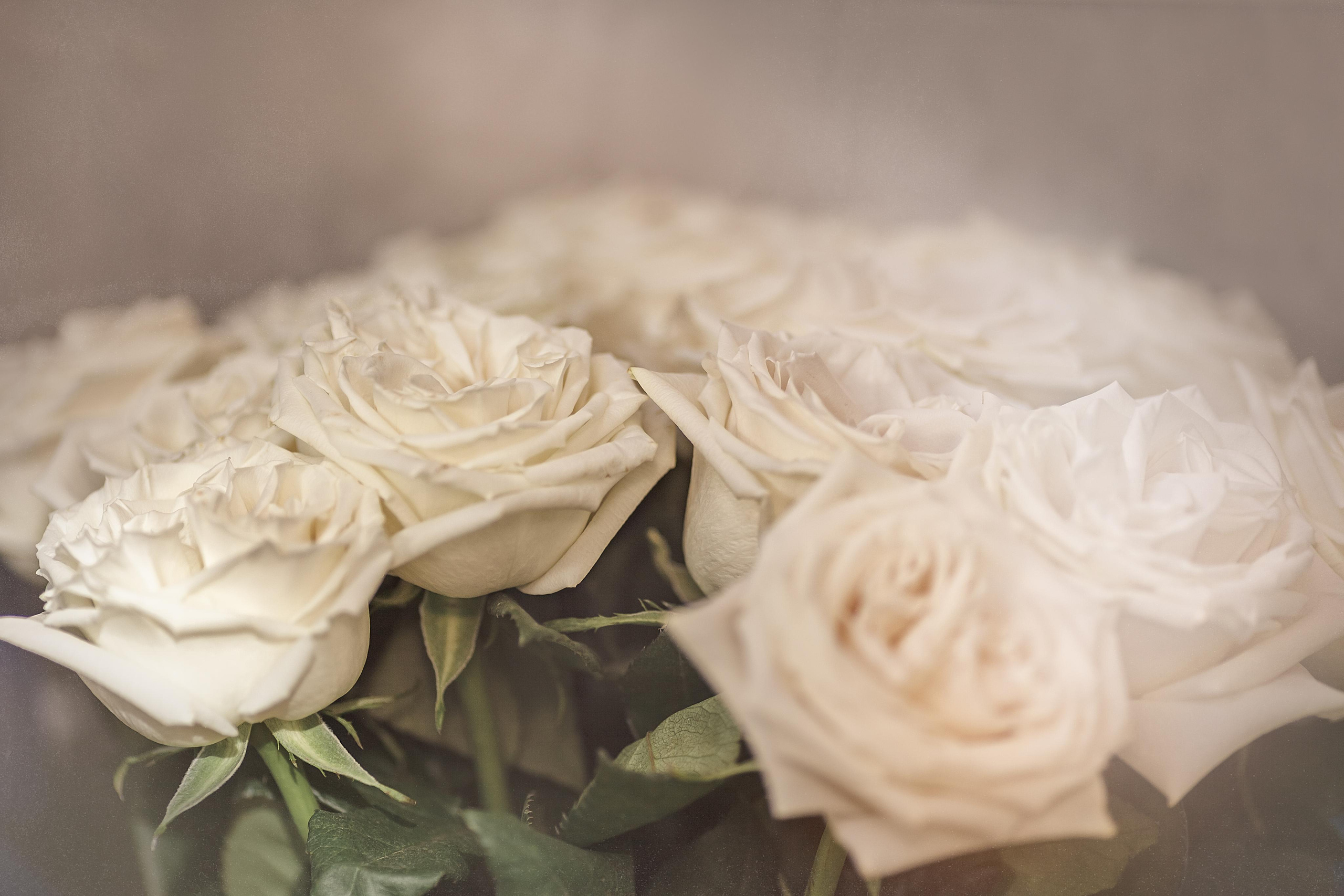 День рождения Сони! 15 лет. Детский, семейный фотограф в Южно-Сахалинске, Невельске и Холмске