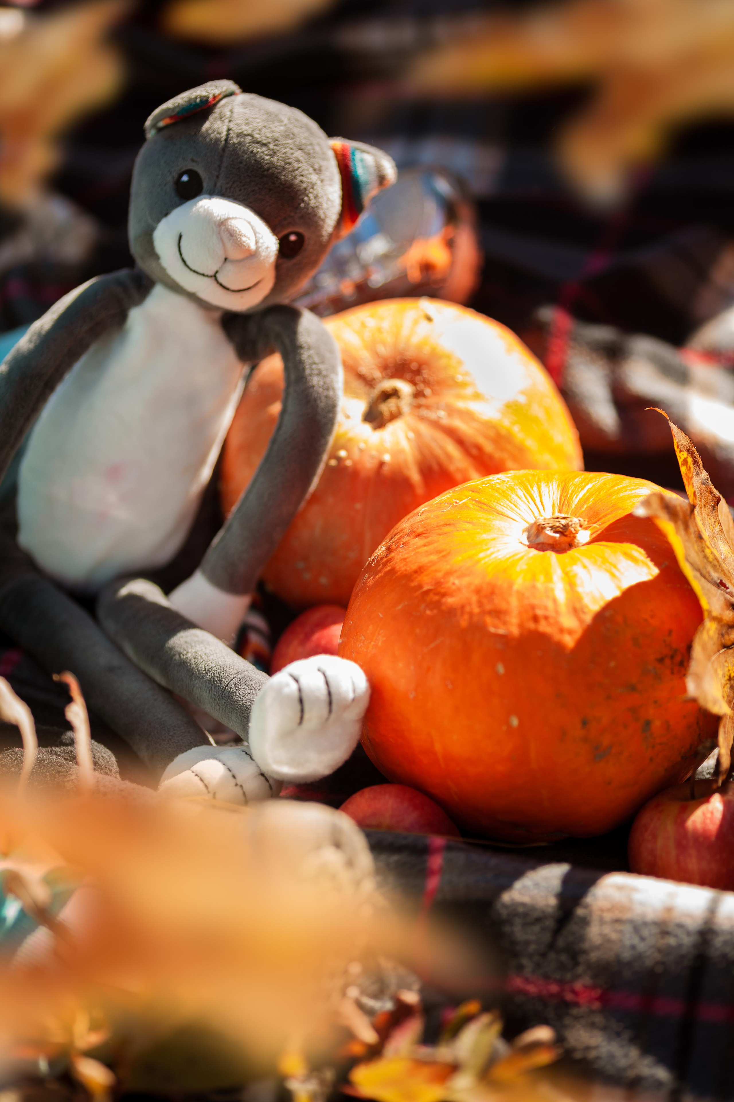 Анастасия, Арина, Лера и Поля. Мама и дочки. Детский, семейный фотограф в Южно-Сахалинске, Невельске и Холмске